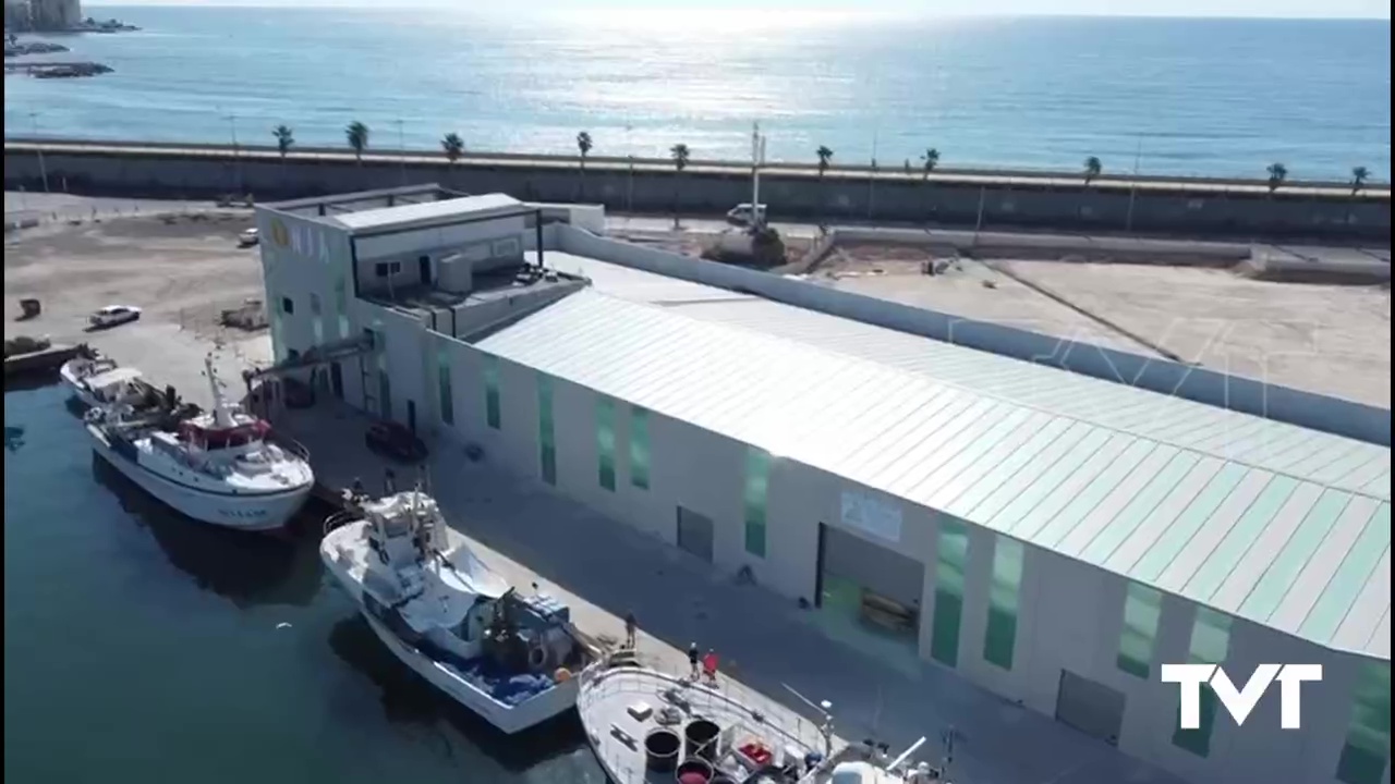 Imagen de Últimas actuaciones para concluir las obras de la nueva lonja de pescado en Torrevieja