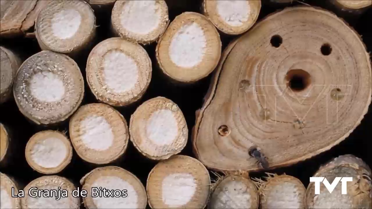 Imagen de Un hotel para insectos en nuestro parque natural