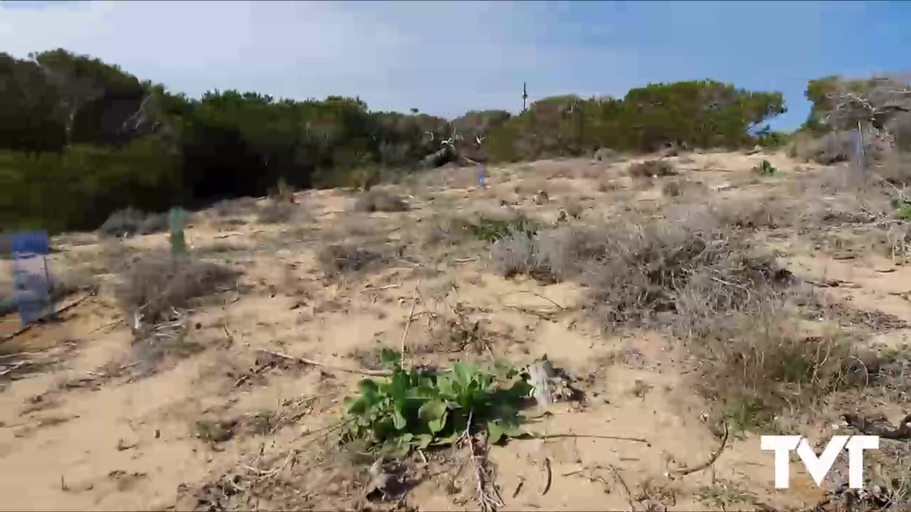 Imagen de Alumnos de la Universidad de Siracusa colaboran en tareas de recuperación del Paraje Molino del Agua