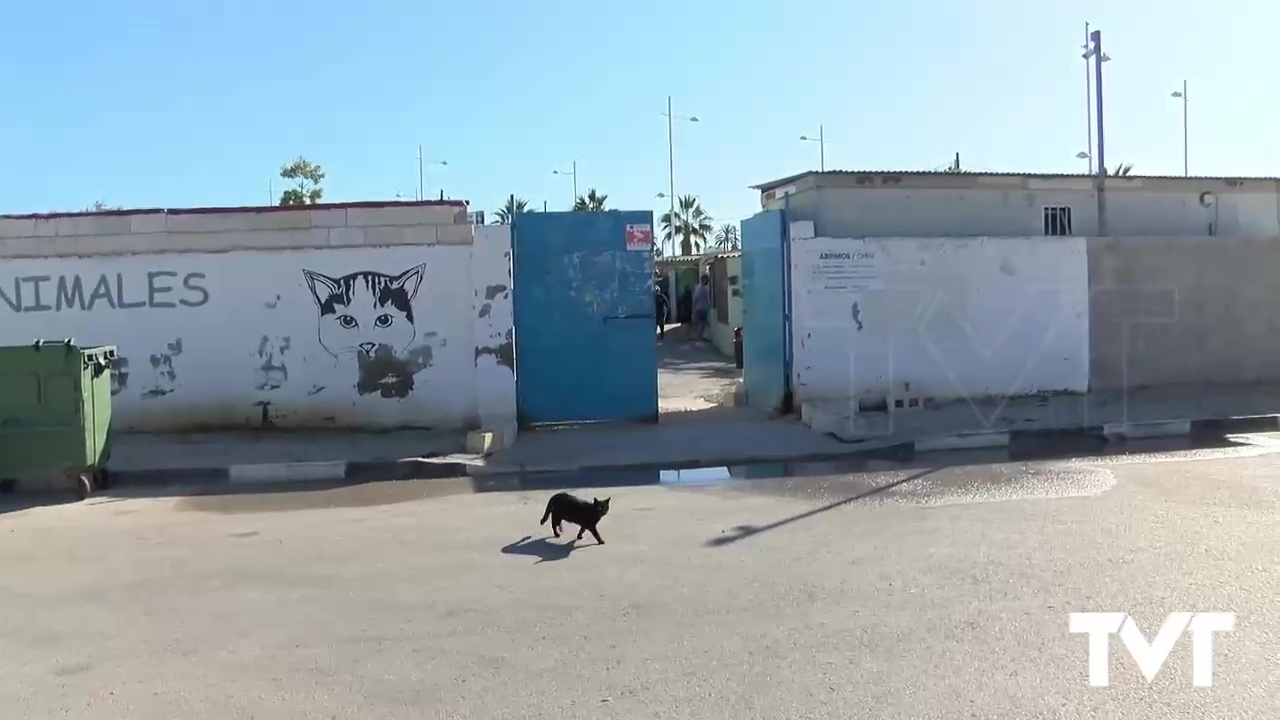 Imagen de Una de las deudas pendientes del PP: la ejecución del nuevo albergue municipal de animales