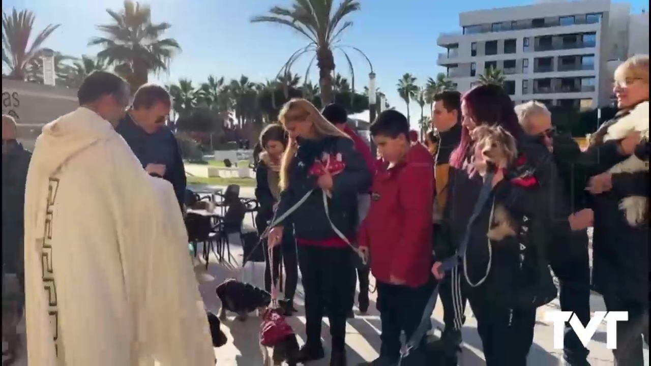 Imagen de La Mata celebra su particular bendición de animales por San Antón