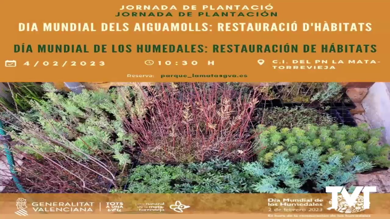 Imagen de Día Mundial de los Humedales: restaurando hábitats