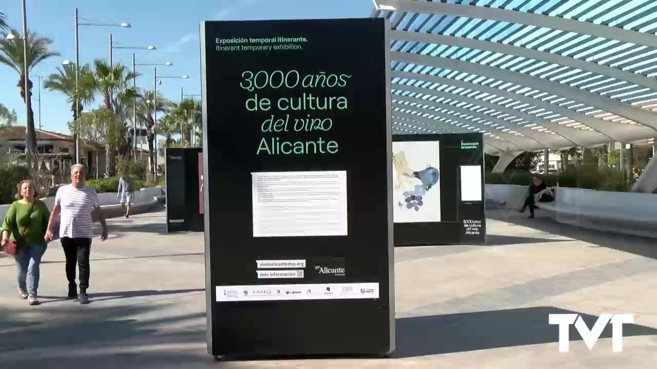 Imagen de Inaugurada nueva exposición: «3000 años de cultura del vino Alicante»