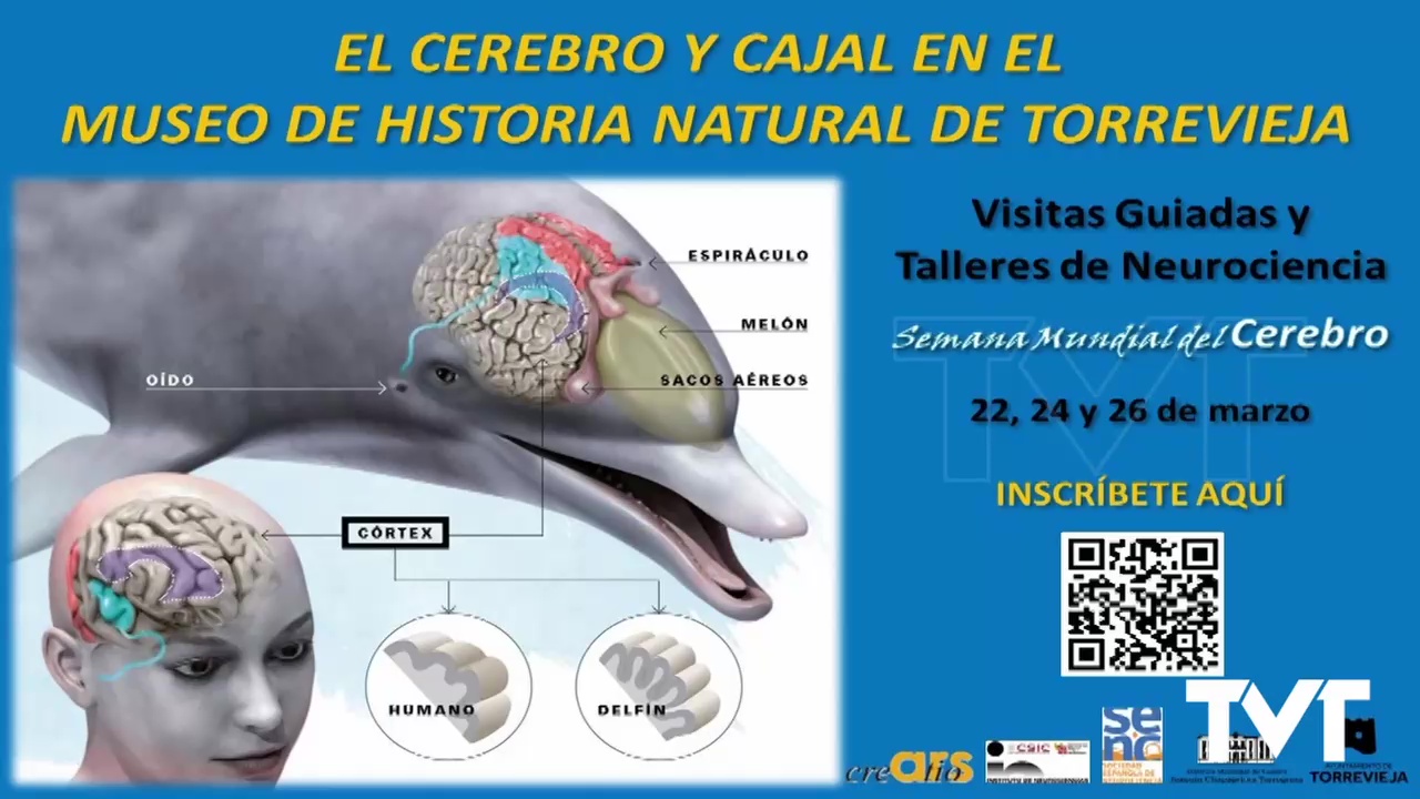 Imagen de Éxito de la primera Semana del Cerebro organizada por Ars Creatio en el Museo de Historia Natural