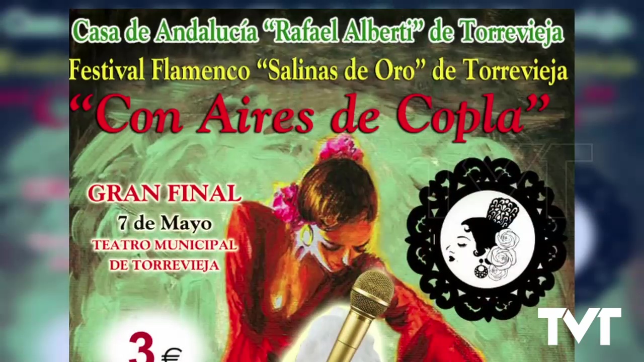 Imagen de El 14 de abril arrancan las pruebas selectivas del Festival de Flamenco «Salinas de Oro»