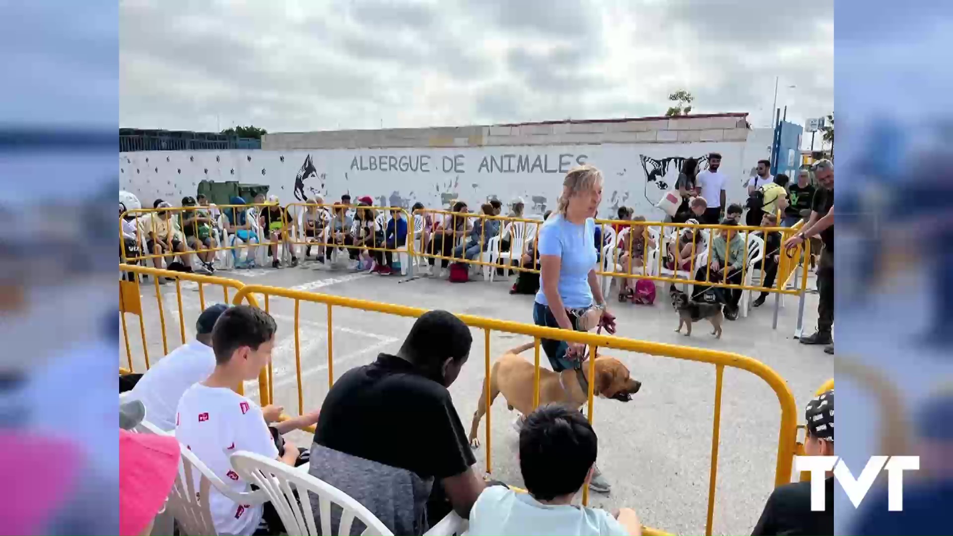 Imagen de Los centros escolares visitan el albergue municipal