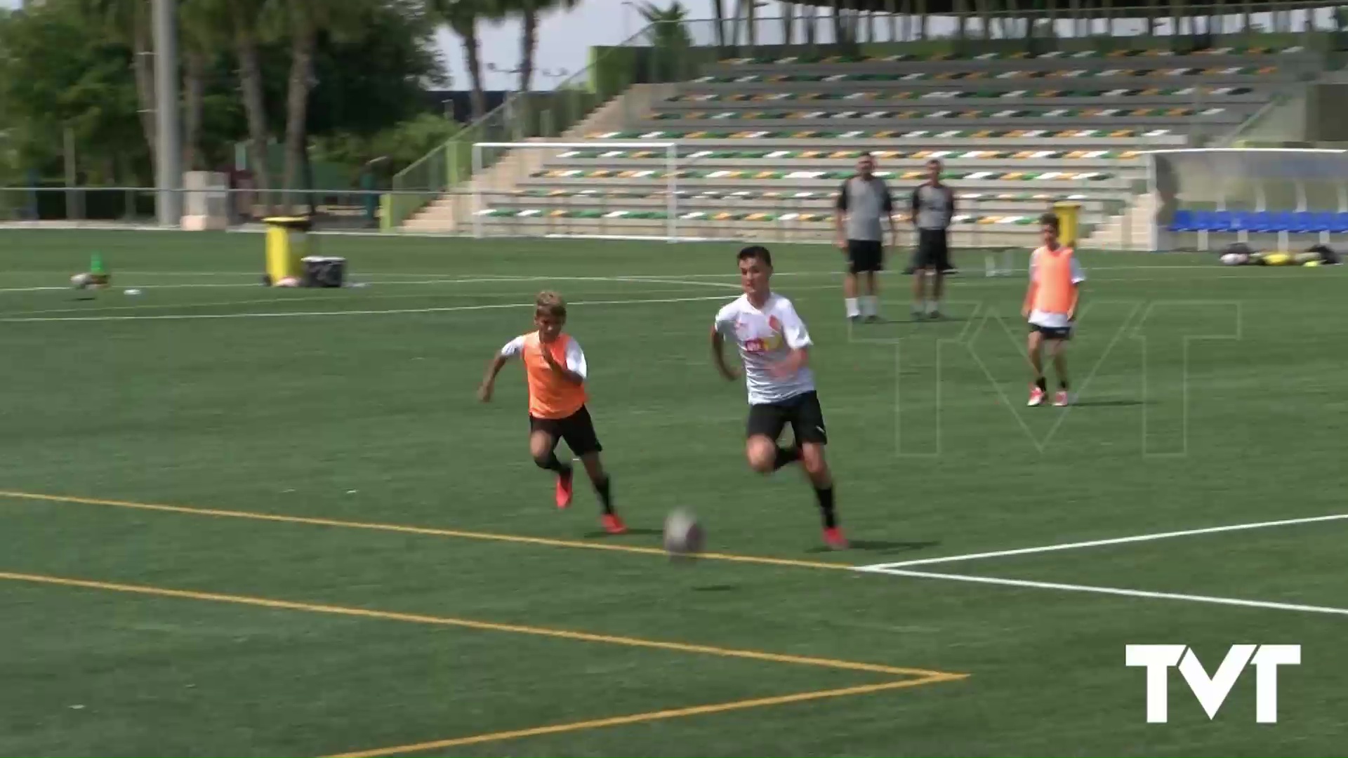 Imagen de Clausurado el I campus Clínic Valencia CF celebrado en Torrevieja