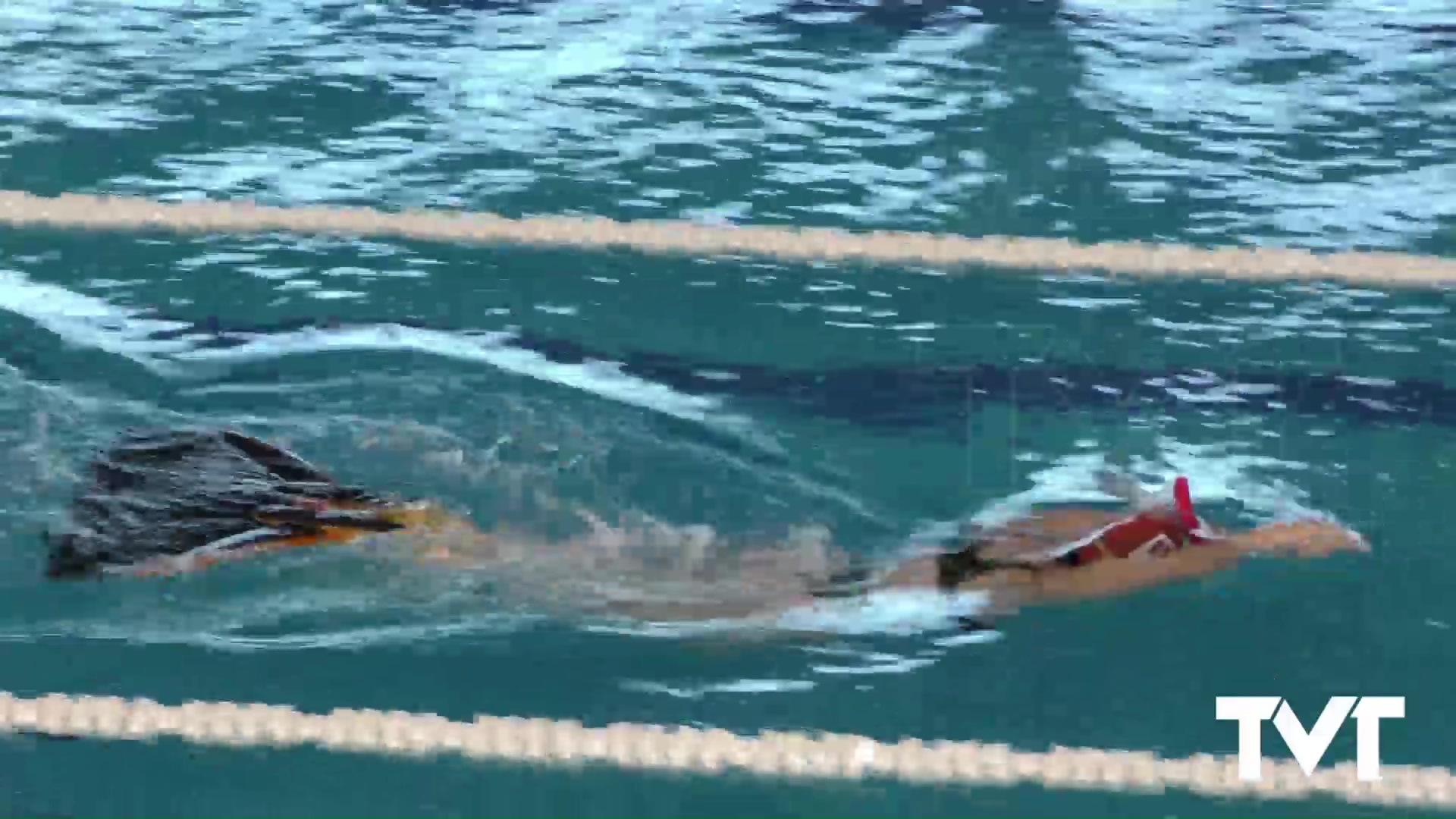 Imagen de 315 nadadores en el LII Campeonato de España de natación con aletas y velocidad