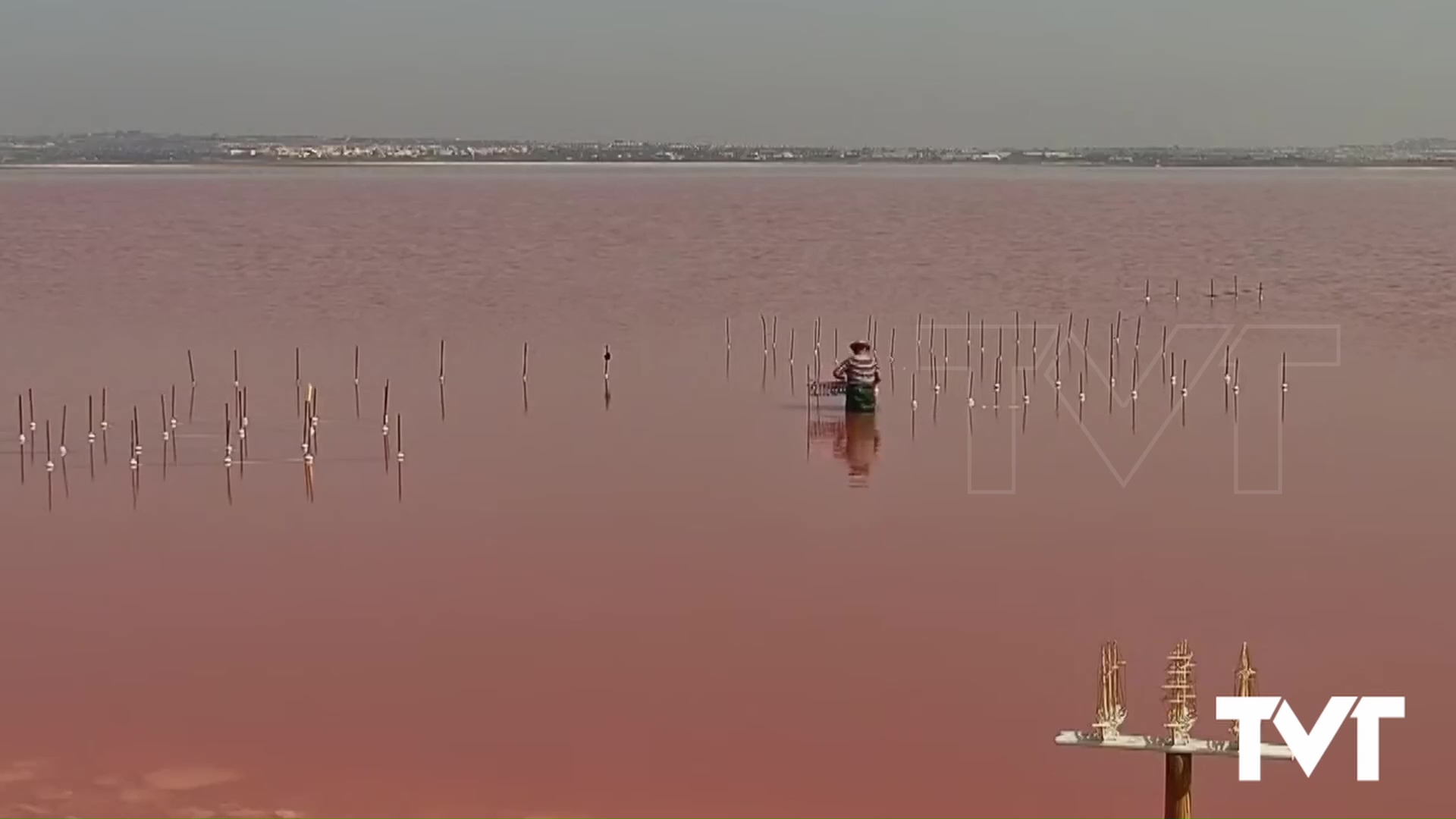 Imagen de Primer baño en sal para maquetas de barcos en la laguna rosa de Torrevieja