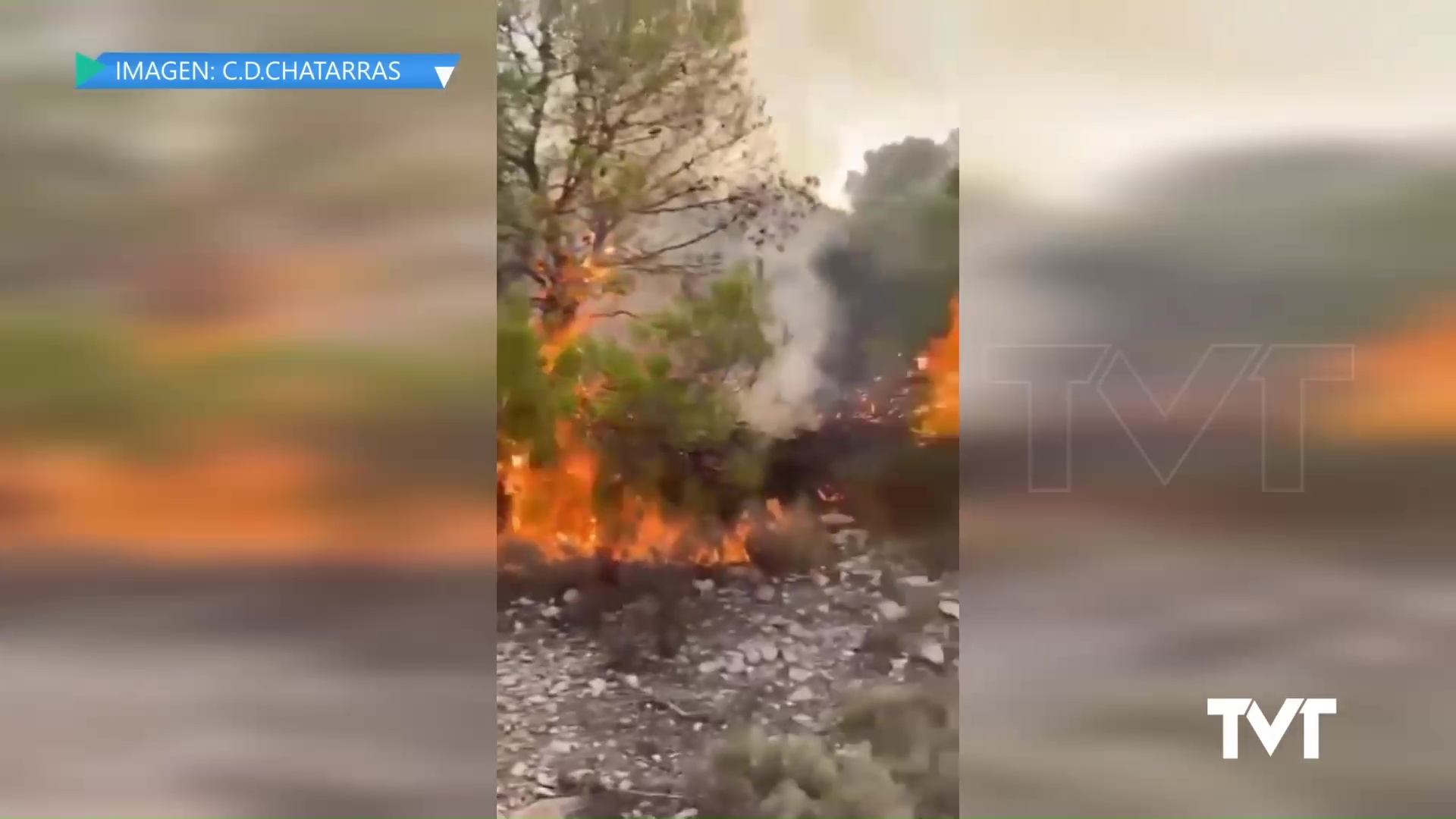 Imagen de Sofocado un incendio en el Parque Natural gracias al aviso de un ciclista