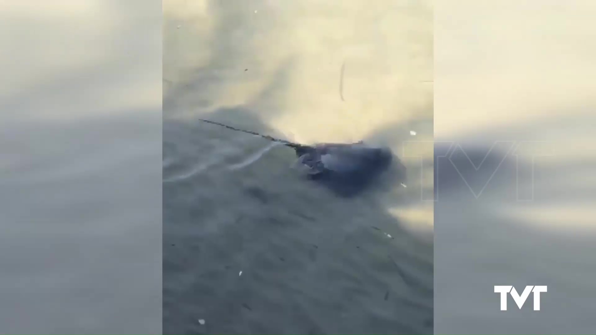 Imagen de Una Raya Pelágica se pasea por la orilla de la Playa del Cura