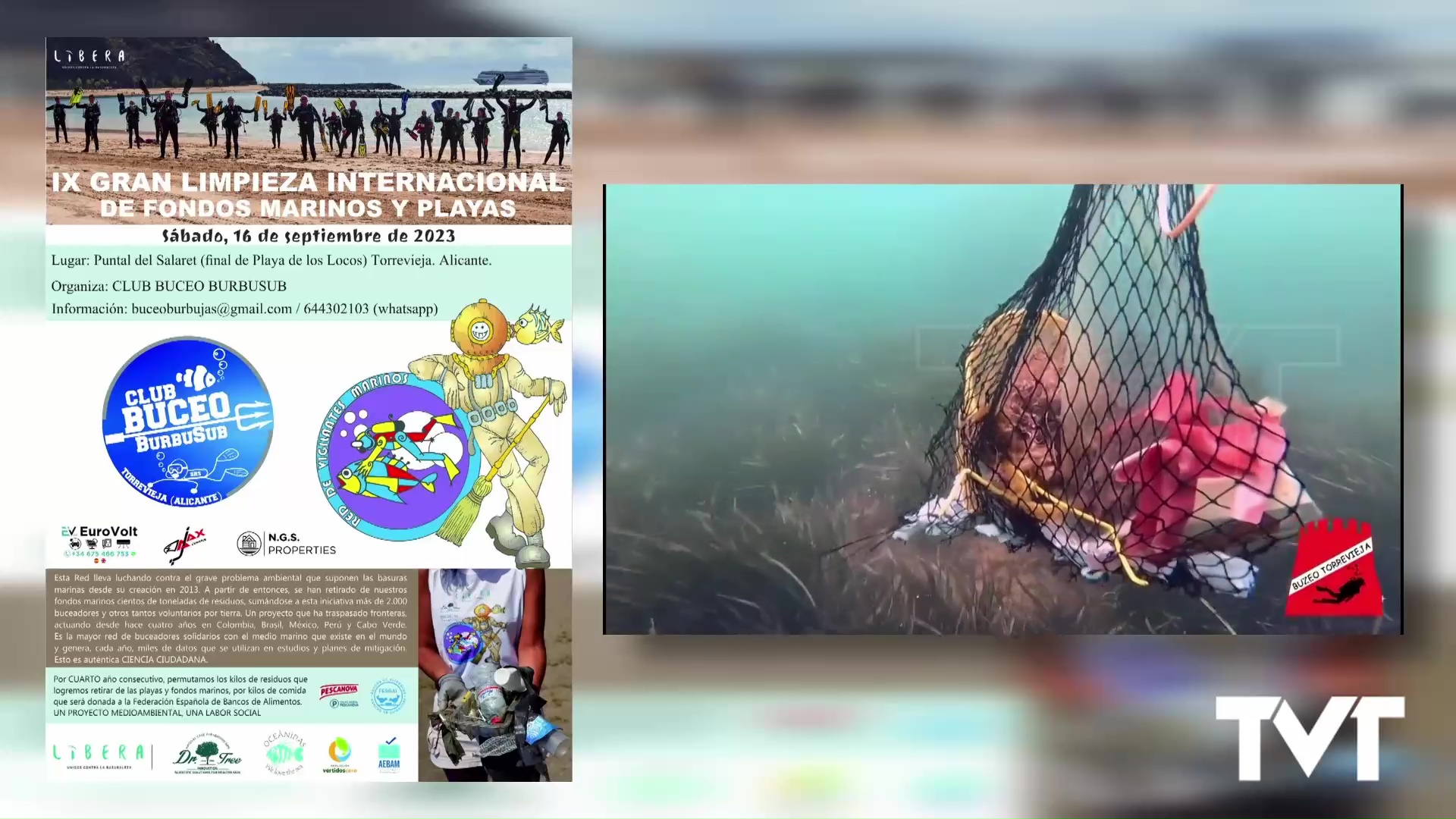 Imagen de Torrevieja se une a la IX Gran Limpieza Internacional de fondos marinos y playas
