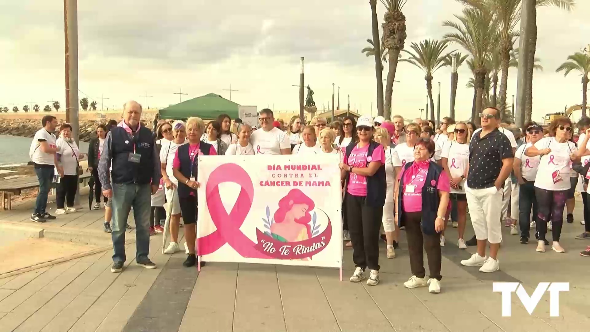 Imagen de La marcha por la vida inunda de rosa el Paseo Juan Aparicio 