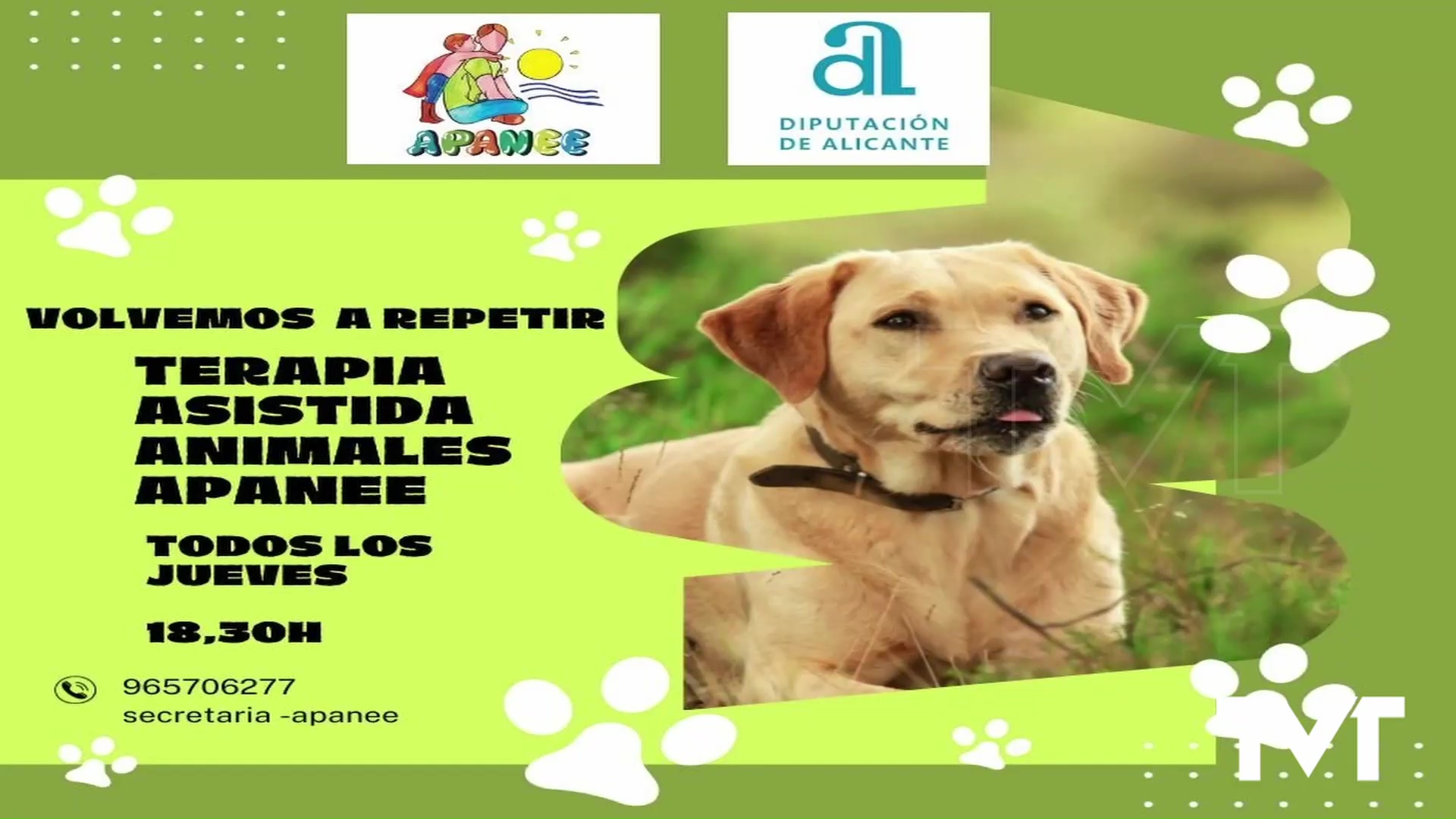 Imagen de Apanee retoma este jueves su terapia con animales 