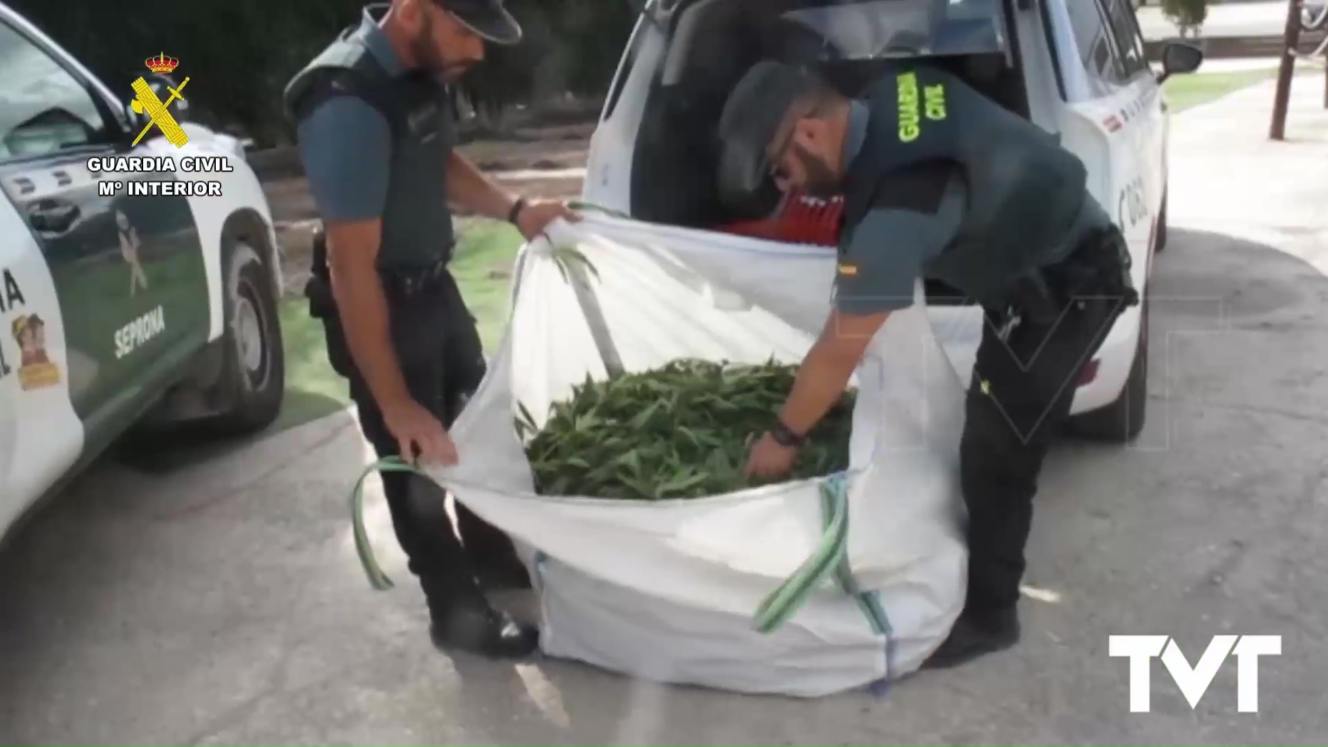 Imagen de GC desmantela plantación de marihuana en Catral e informa a la CHS sobre acopio de estiércol sin autorización