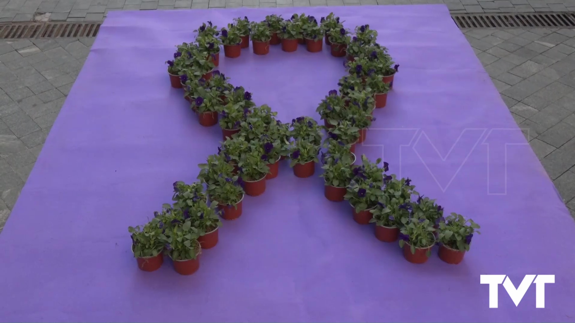 Imagen de Torrevieja se une a la conmemoración del Día Internacional de la eliminación de la violencia contra la mujer