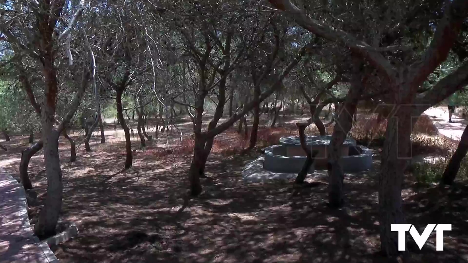 Imagen de Avances en la restauración del Paraje Natural municipal del Molino del Agua 