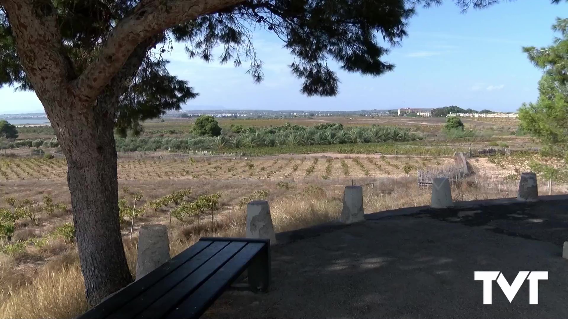 Imagen de Consellería de educación selecciona al IES LIbertas de Torrevieja para la realización del proyecto «Guardabosc»