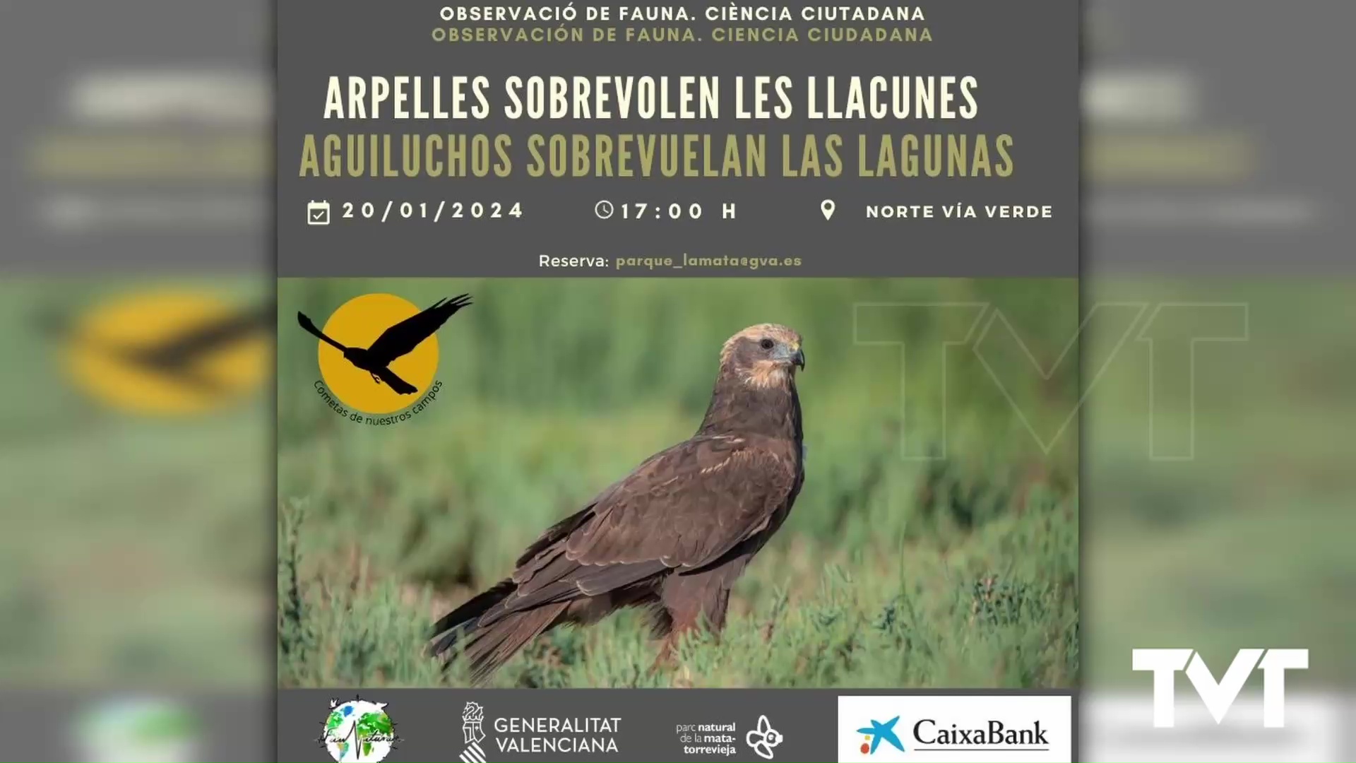 Imagen de El Parque natural retoma su actividad con una ruta guiada para conocer al Aguilucho Lagunero 