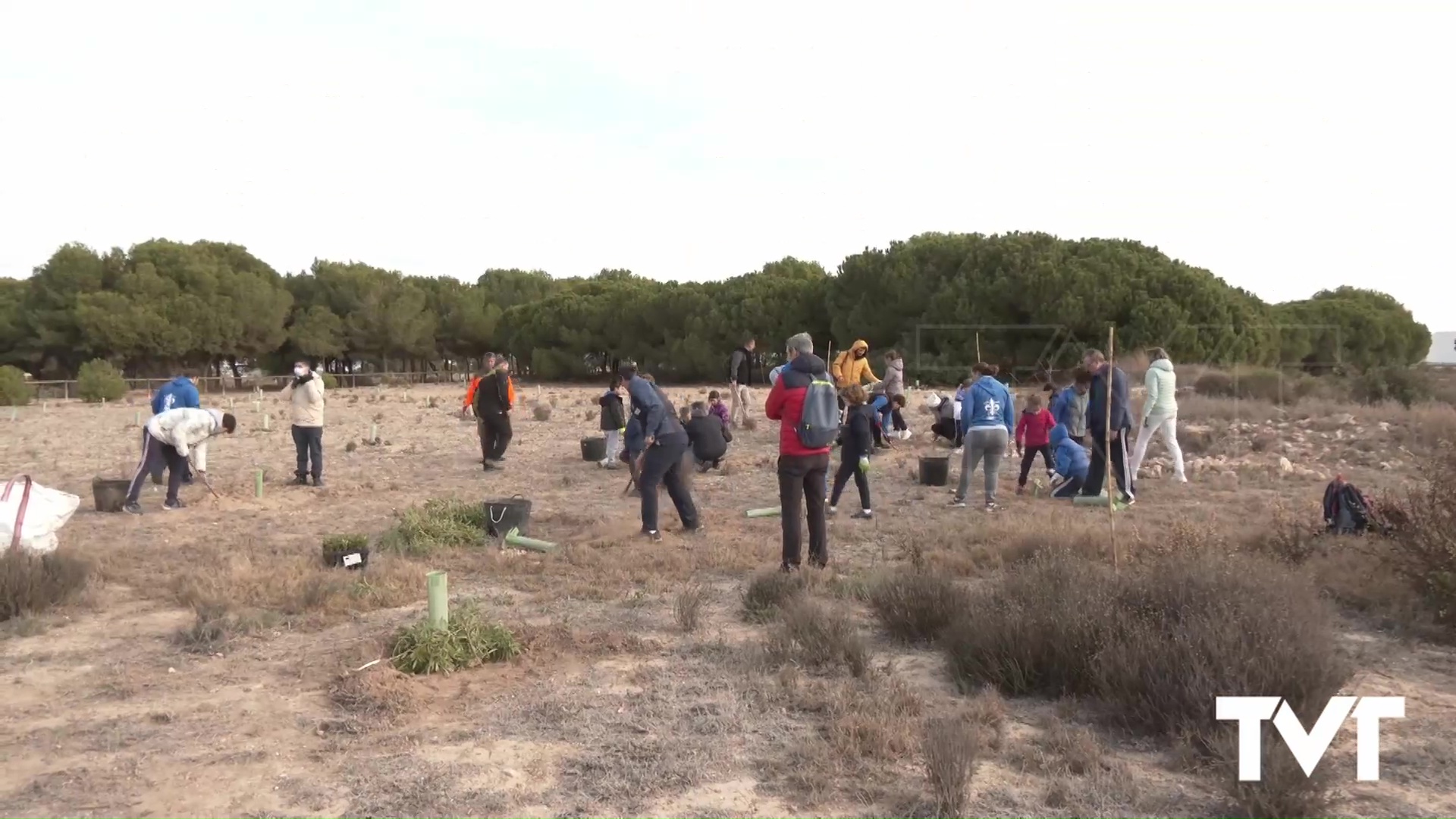 Imagen de El parque natural se adelanta al Día del Árbol con una jornada de plantación y regeneración 