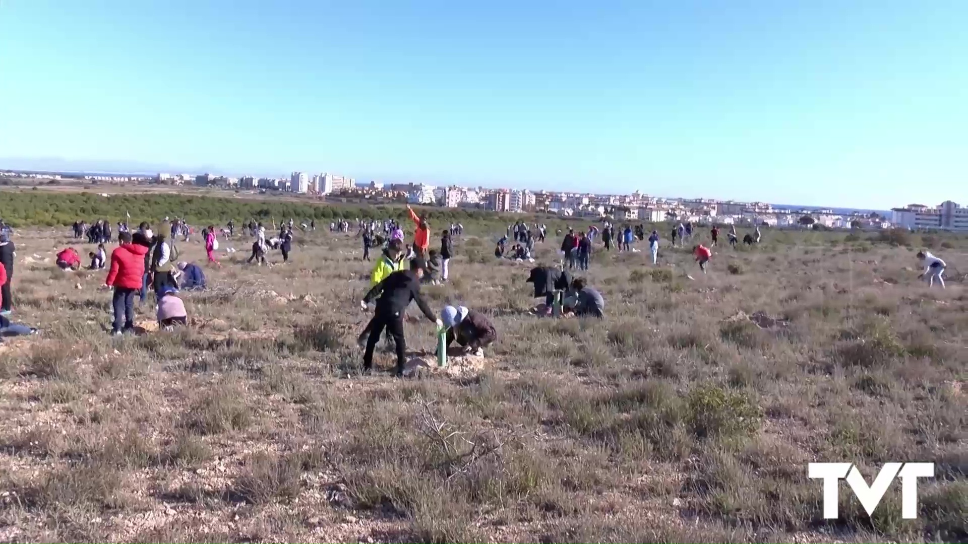 Imagen de Más de 800 escolares de Torrevieja se suman a la celebración del Día del Árbol los días 31 de enero y 1 de febrero en el P.N. de La Mata