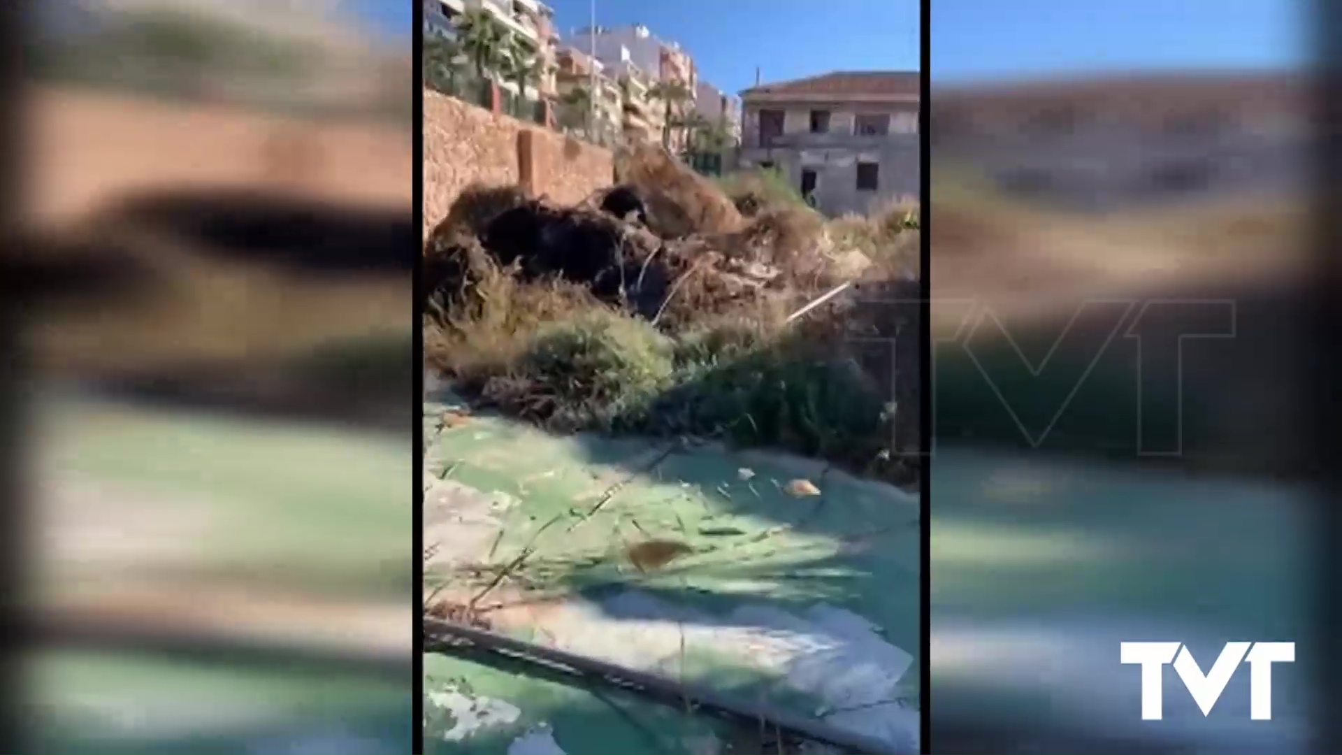 Imagen de El Partido Socialista de Torrevieja denuncia la situación de abandono de las Eras de la Sal 