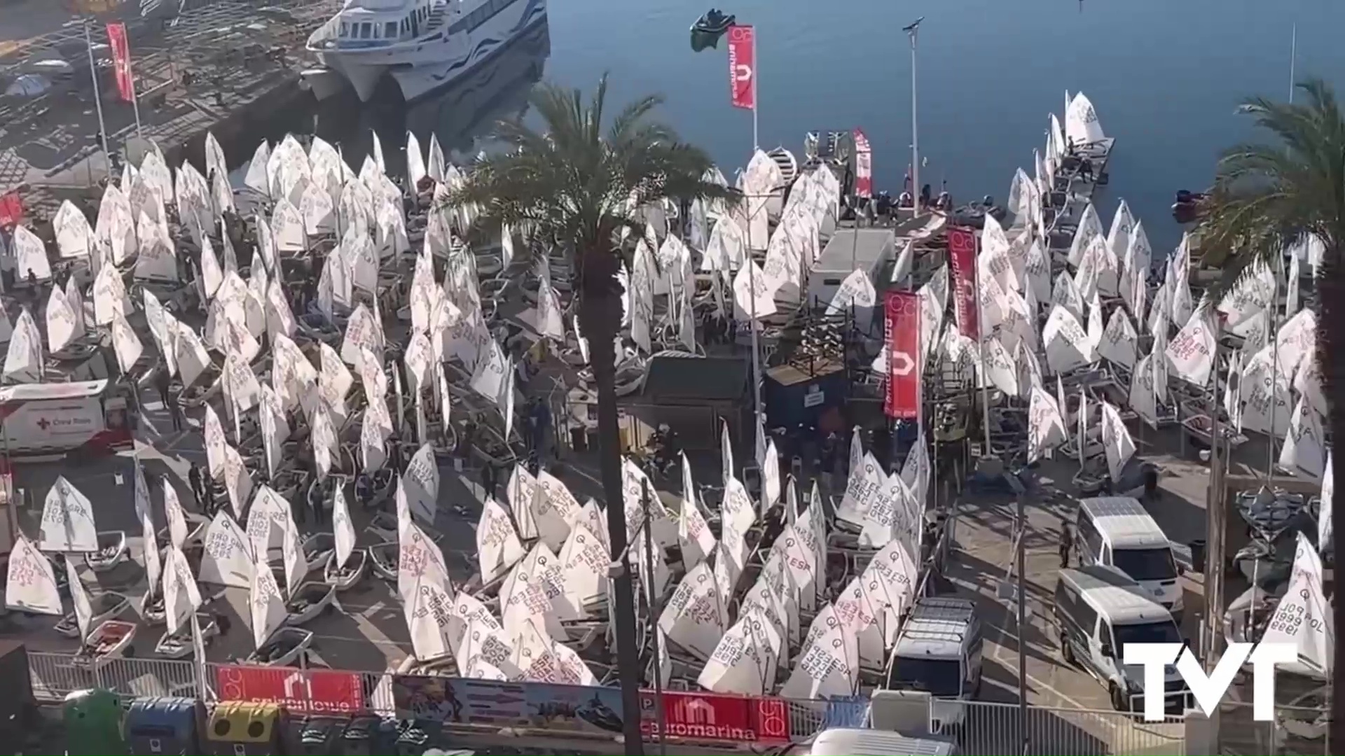 Imagen de La XVI Euromarina Optimist Torrevieja ya está en la línea de salida