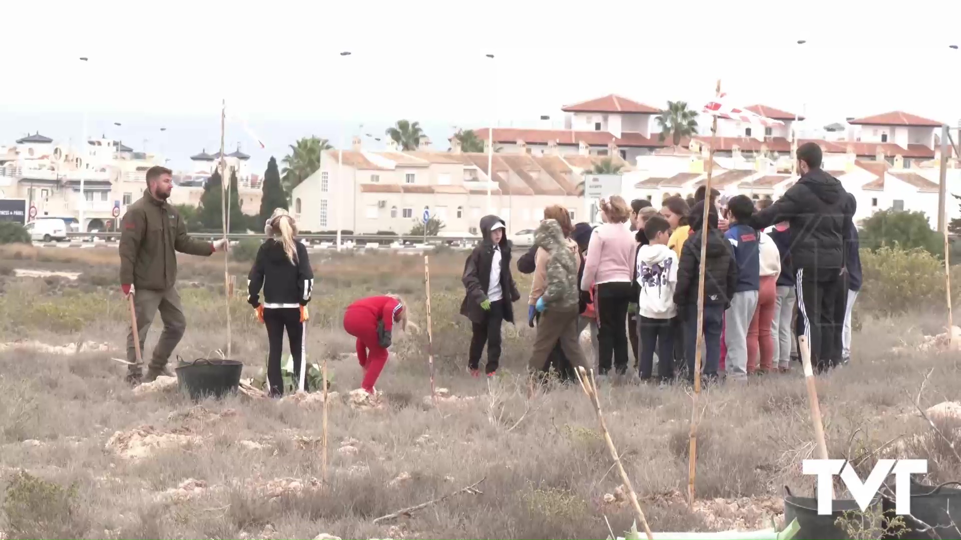 Imagen de El Parque natural de La Mata vive una de las plantaciones más participativas de los últimos años en la Comunidad Valenciana