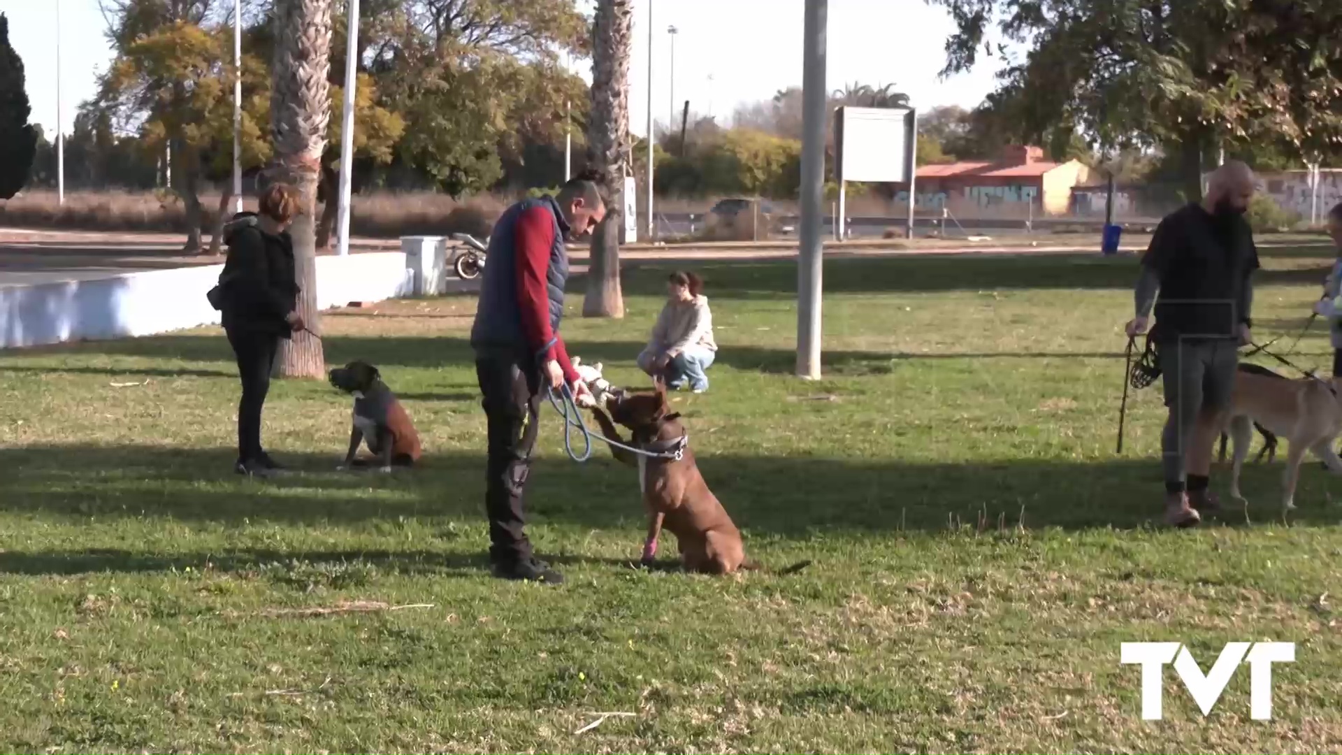 Imagen de Conocemos a «los ángeles de la guarda» de los animales del albergue de Torrevieja 