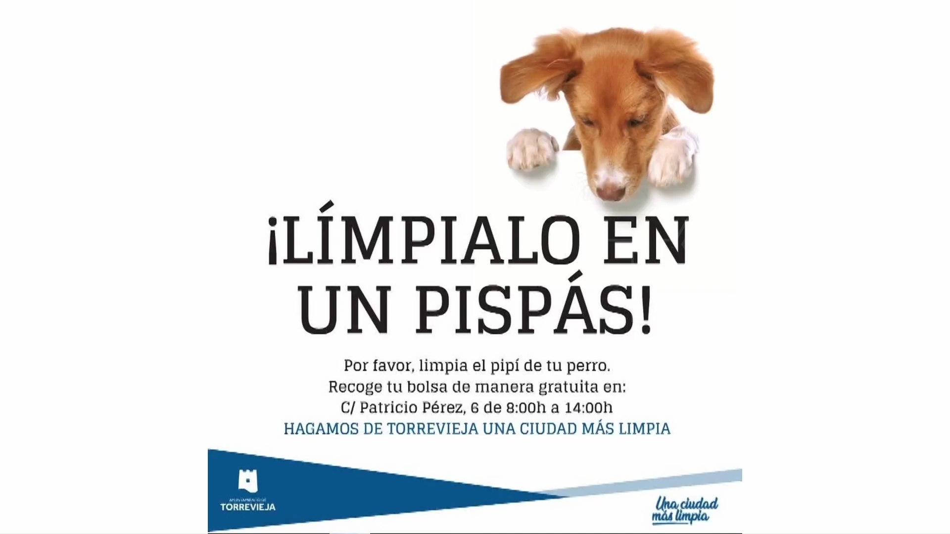 Imagen de La nueva ordenanza prevé sanciones más duras para los dueños de mascotas que no recojan las heces de sus perros 