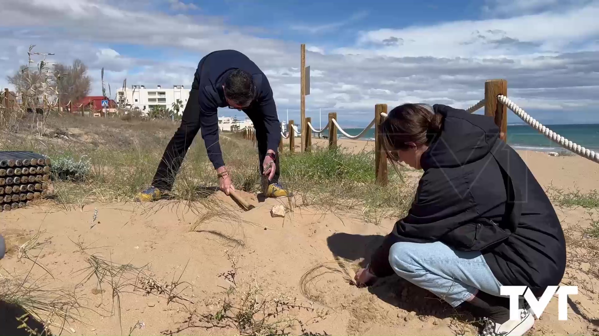Imagen de Recuperación de las dunas en La Mata : un paso hacia la preservación del medio ambiente costero 