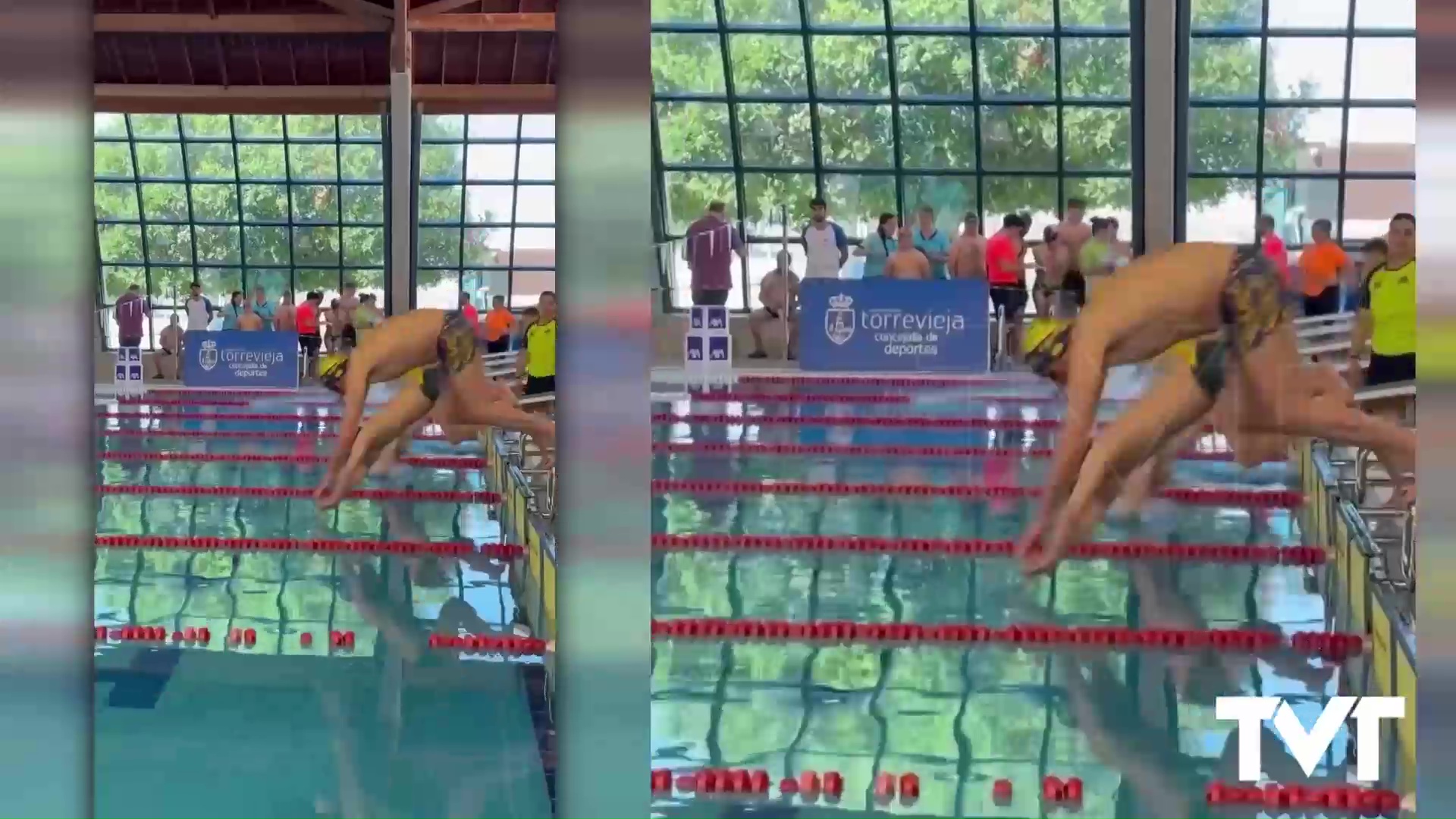 Imagen de Más de 160 deportistas de toda España participan en el Open de Natación adaptada de la Comunidad Valenciana