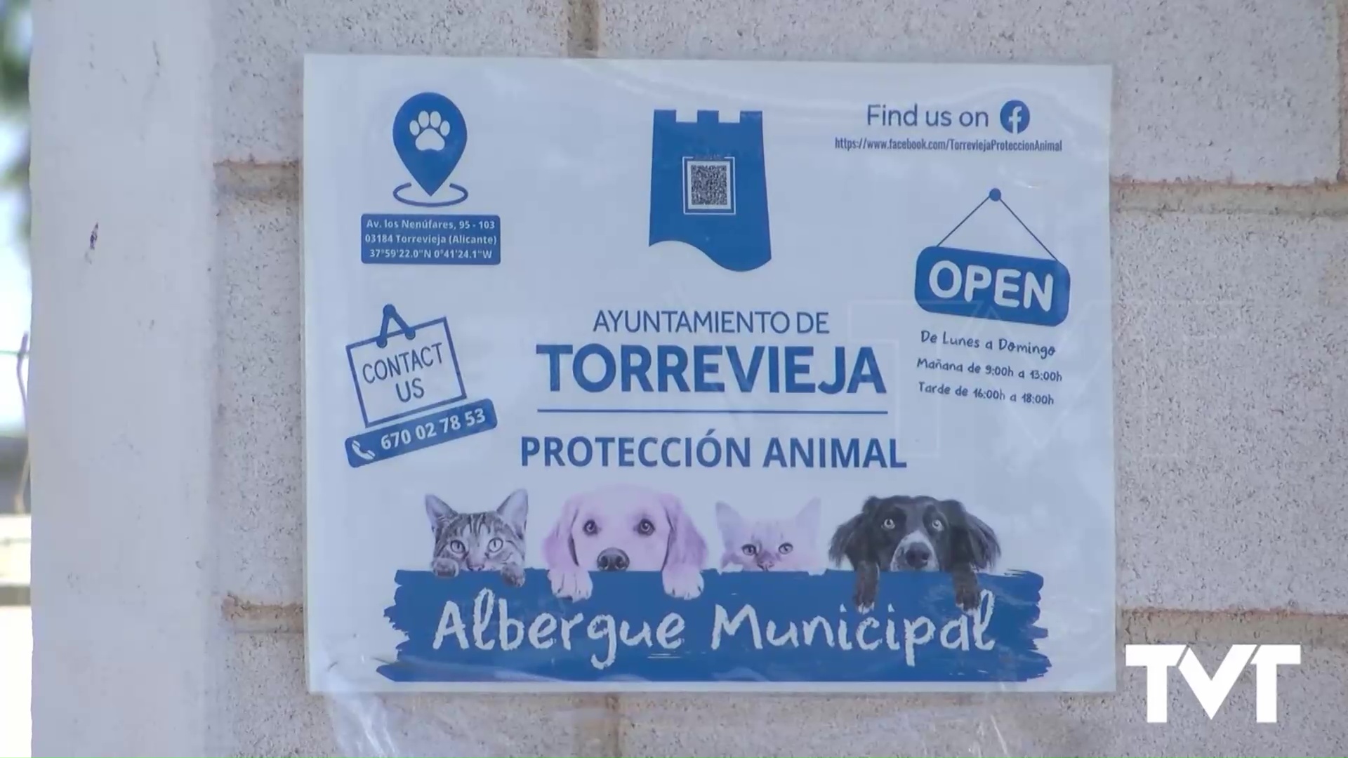 Imagen de Las obras en ejecución del albergue de animales se paralizan durante tres meses para adaptar el proyecto a la nueva ley de bienestar animal 