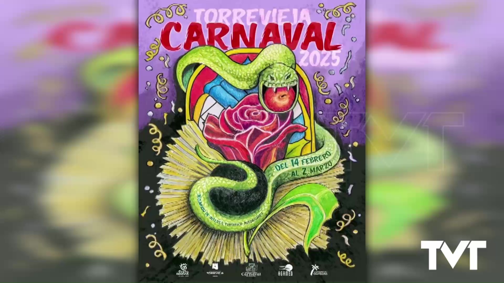 Imagen de El carnaval de Torrevieja ya tiene sus reyes para el ejercicio 2025 / 2026 