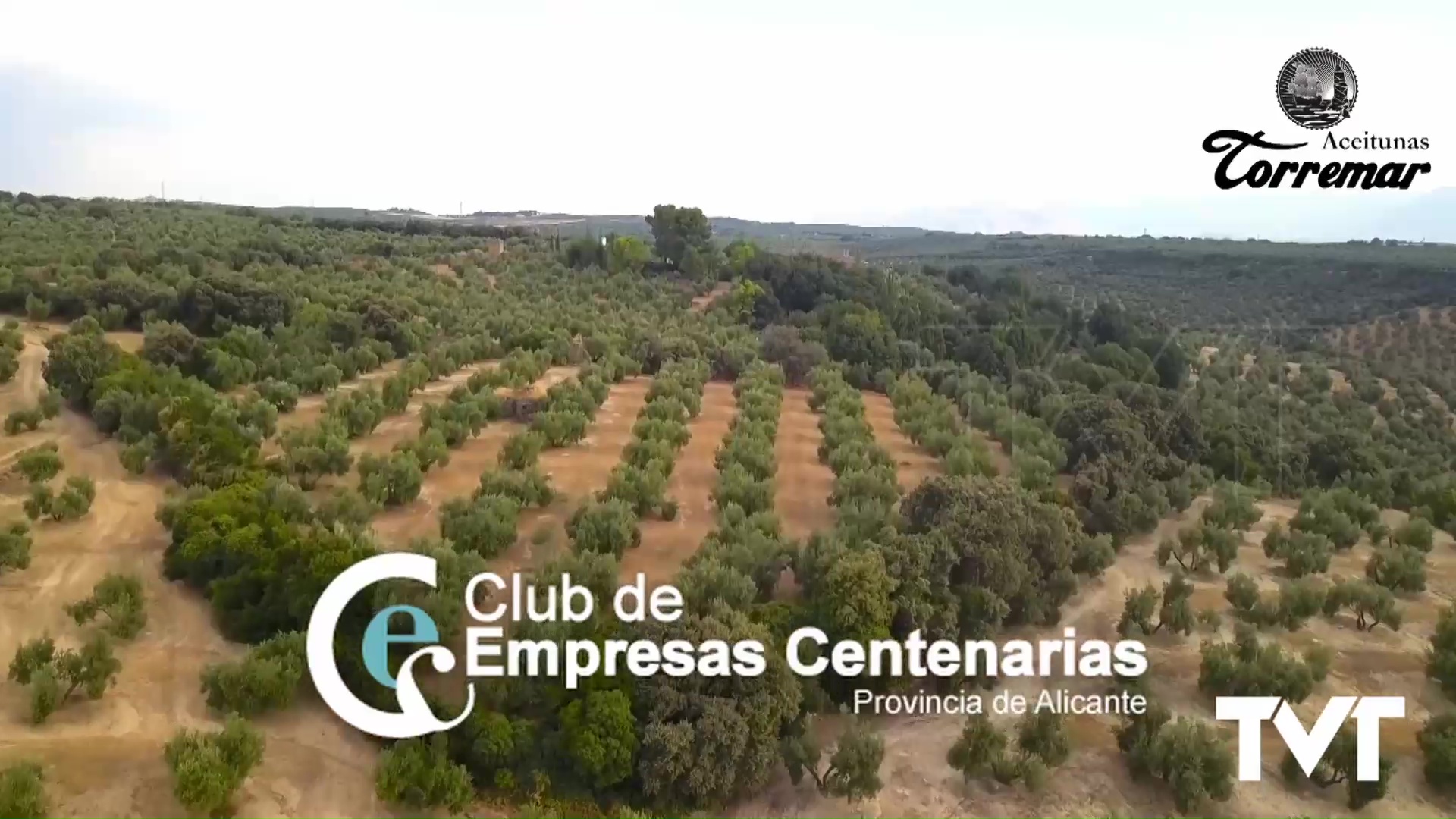 Imagen de El Club de Empresas Centenarias ha presentado su V gala y las seis empresas que serán homenajeadas 