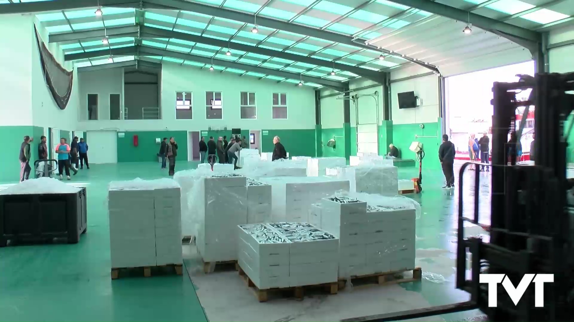 Imagen de Se somete a información pública  la solicitud formulada por la Cofradía de Pescadores de Torrevieja, de concesión demanial para la explotación de la nueva lonja de pescado y fábrica de hielo en el puerto de Torrevieja 