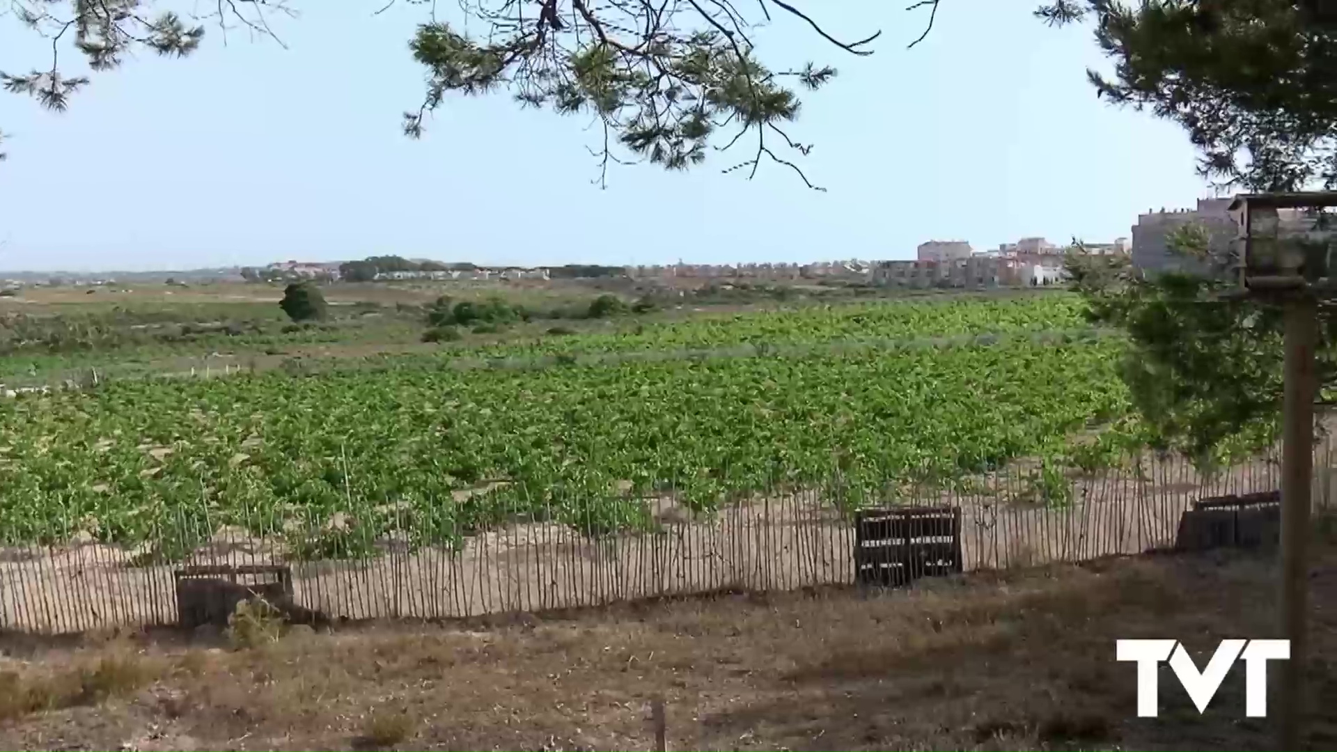 Imagen de Ars Creatio lleva a cabo una ruta teatralizada 