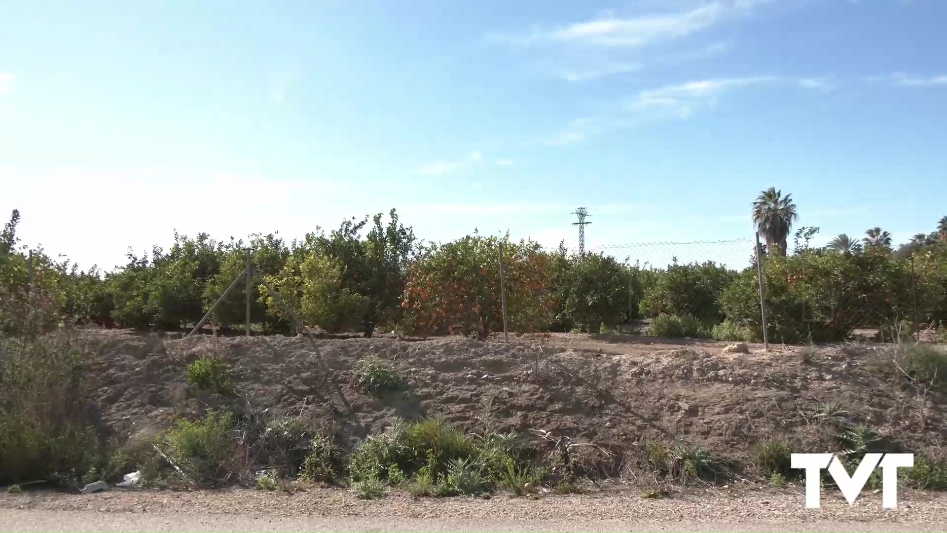 Imagen de Vecinos de San Miguel de Salinas se trasladan a Torrevieja para abordar la problemática de la planta solar