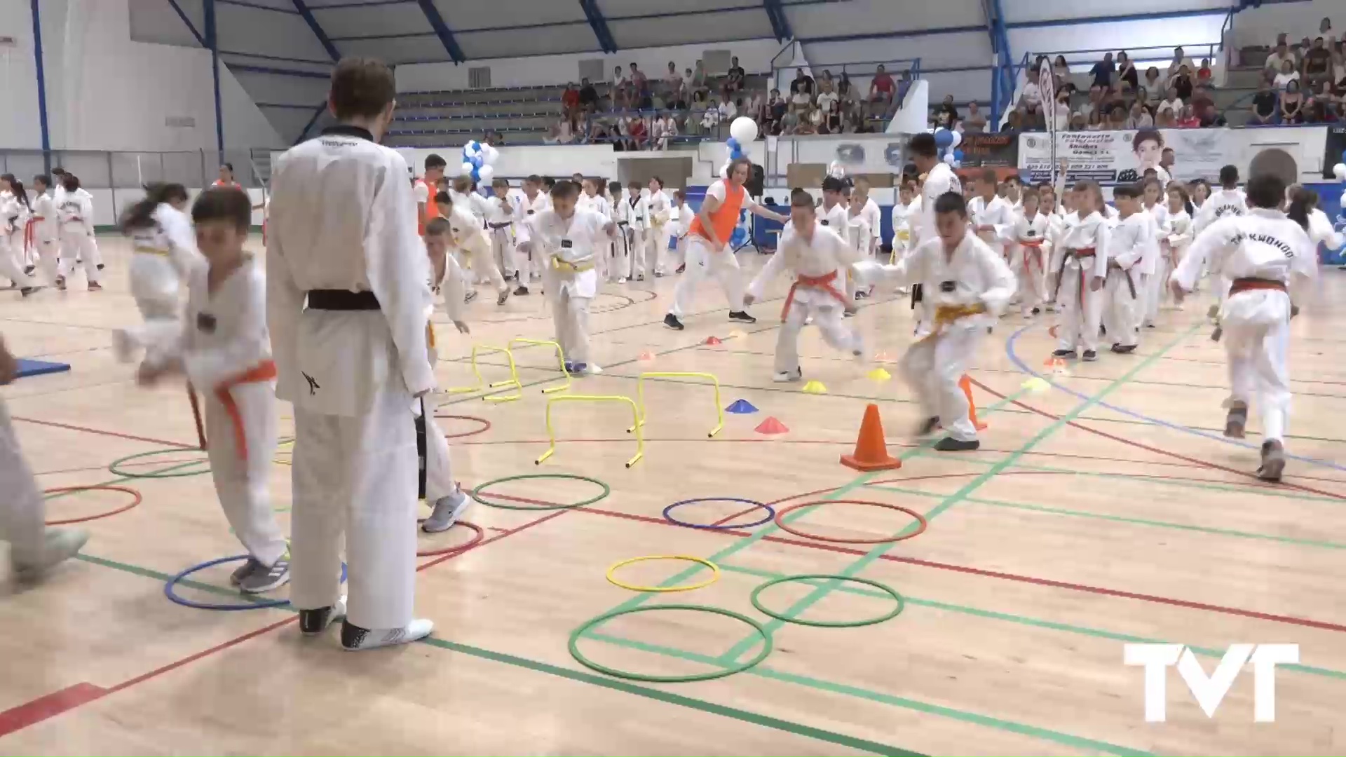 Imagen de Más de 200 jóvenes demuestran lo aprendido durante el temporada en el Club de Taekwondo Torrevieja 