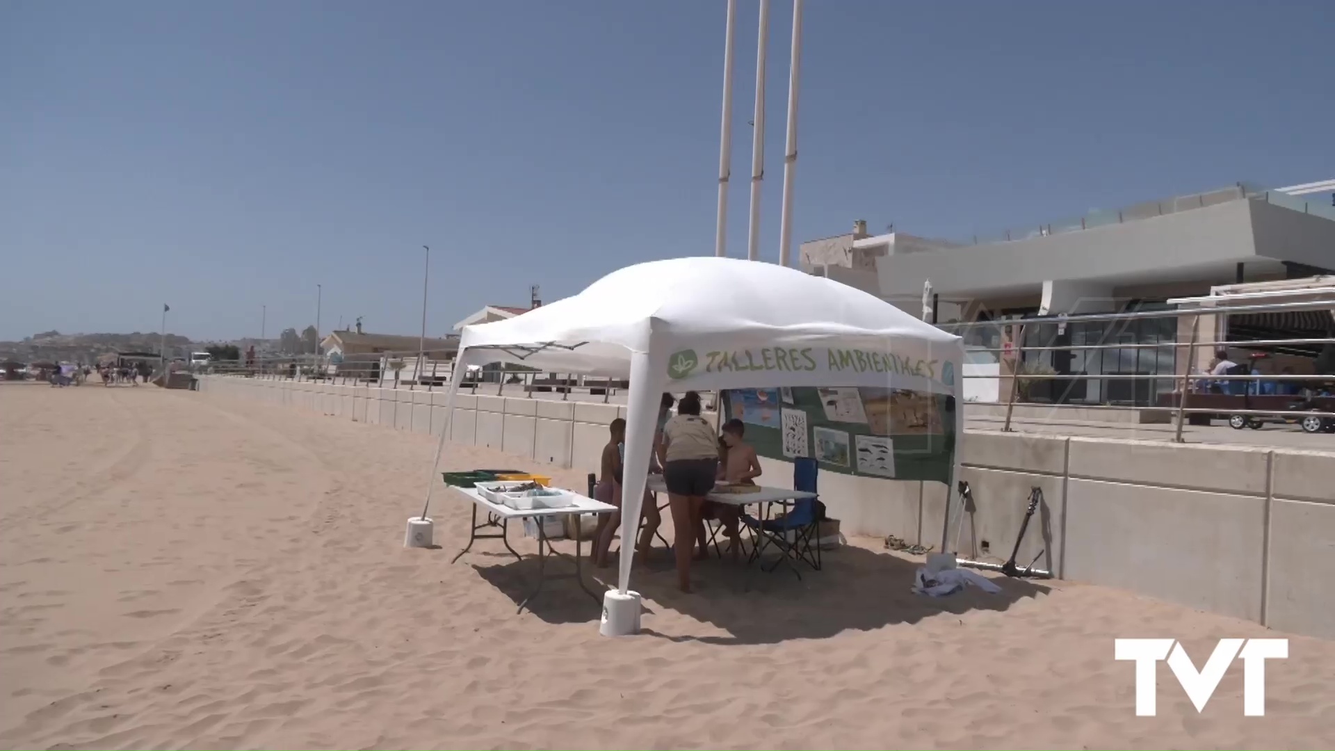 Imagen de Regresan los talleres ambientales a las playas de Torrevieja y La Mata