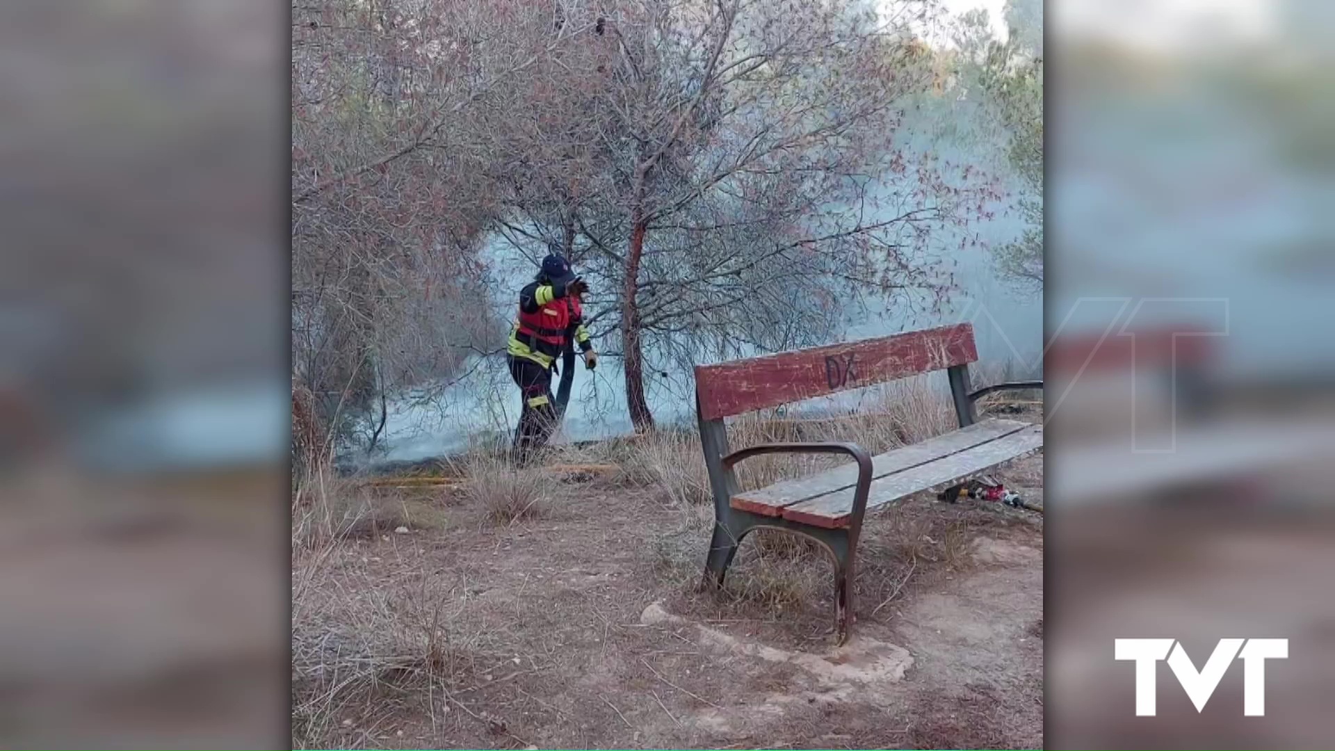 Imagen de Incendio en una zona de monte en la urbanización Los Balcones 