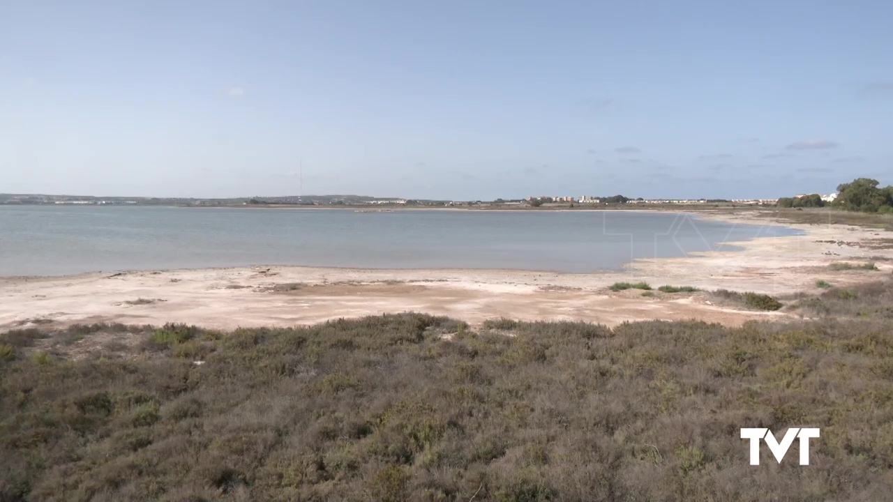 Imagen de La temperatura de la Laguna de Torrevieja alcanza los 37ºC y la de la Mata los 36ºC