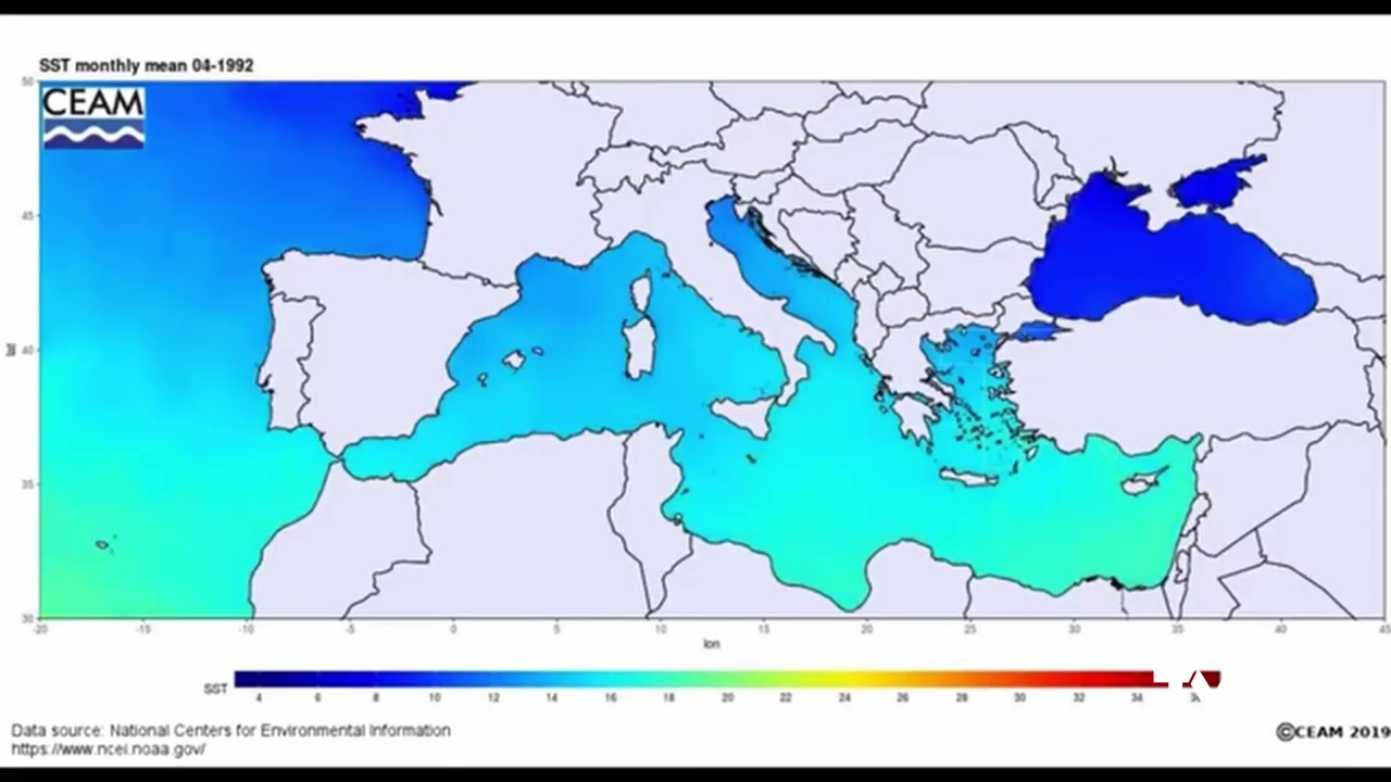 Imagen de Medio Ambiente investiga el impacto de las olas de calor y el aumento de la temperatura del mar