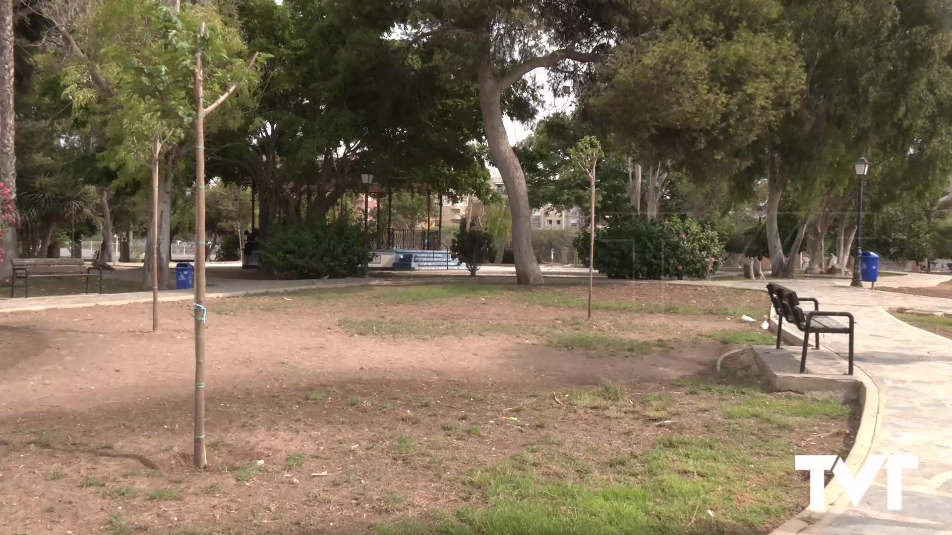 Imagen de Se plantan nueve «moreras blancas» en el Parque Doña Sinforosa