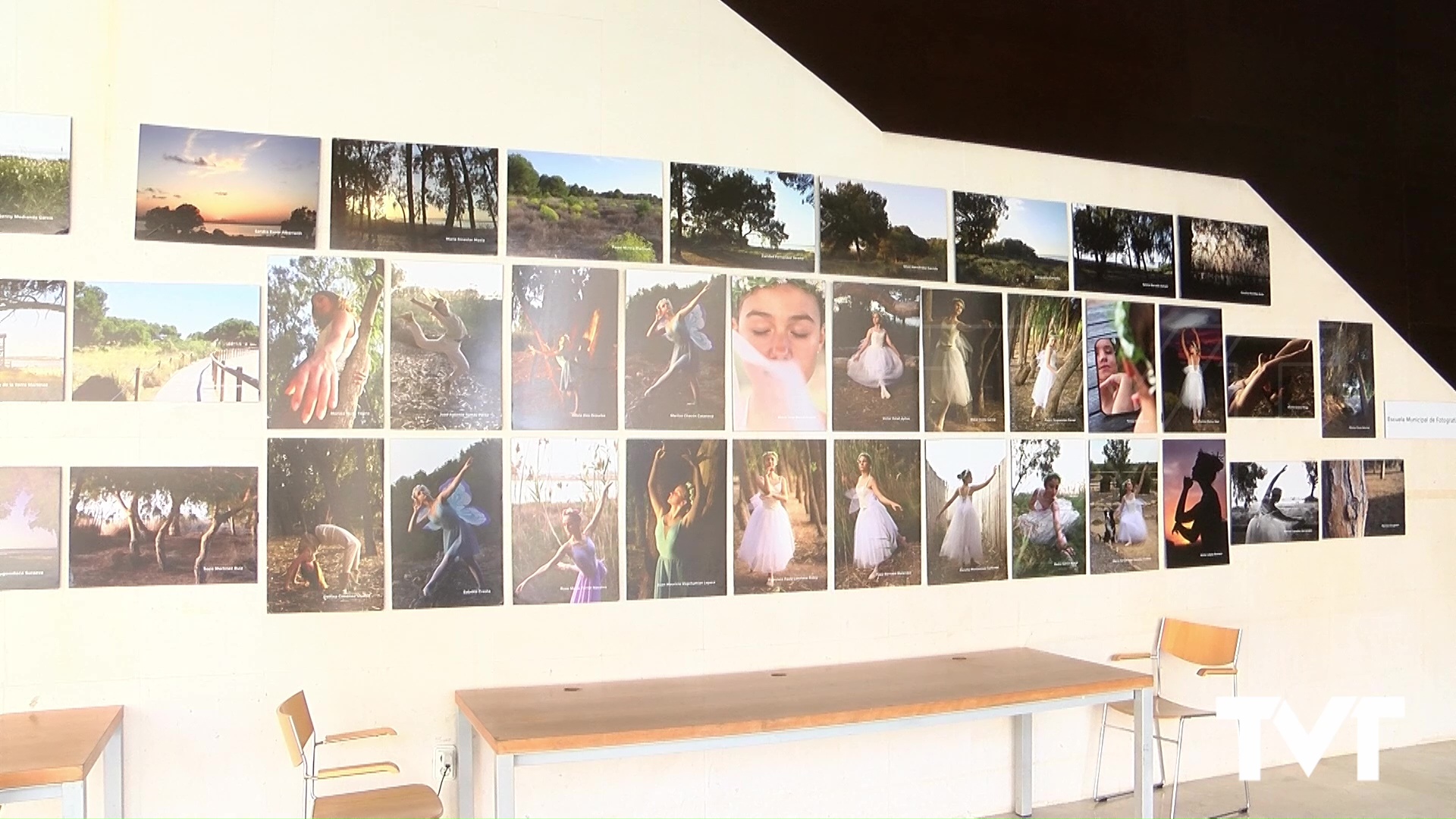 Imagen de Últimos días para visitar la exposición de fotografía «El bosque encantado»