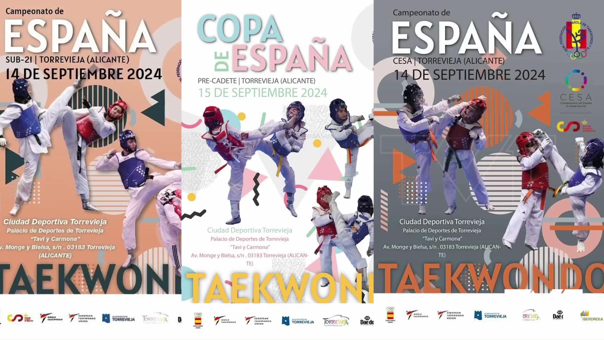 Imagen de El mejor Taekwondo de España se reúne este fin de semana en Torrevieja 