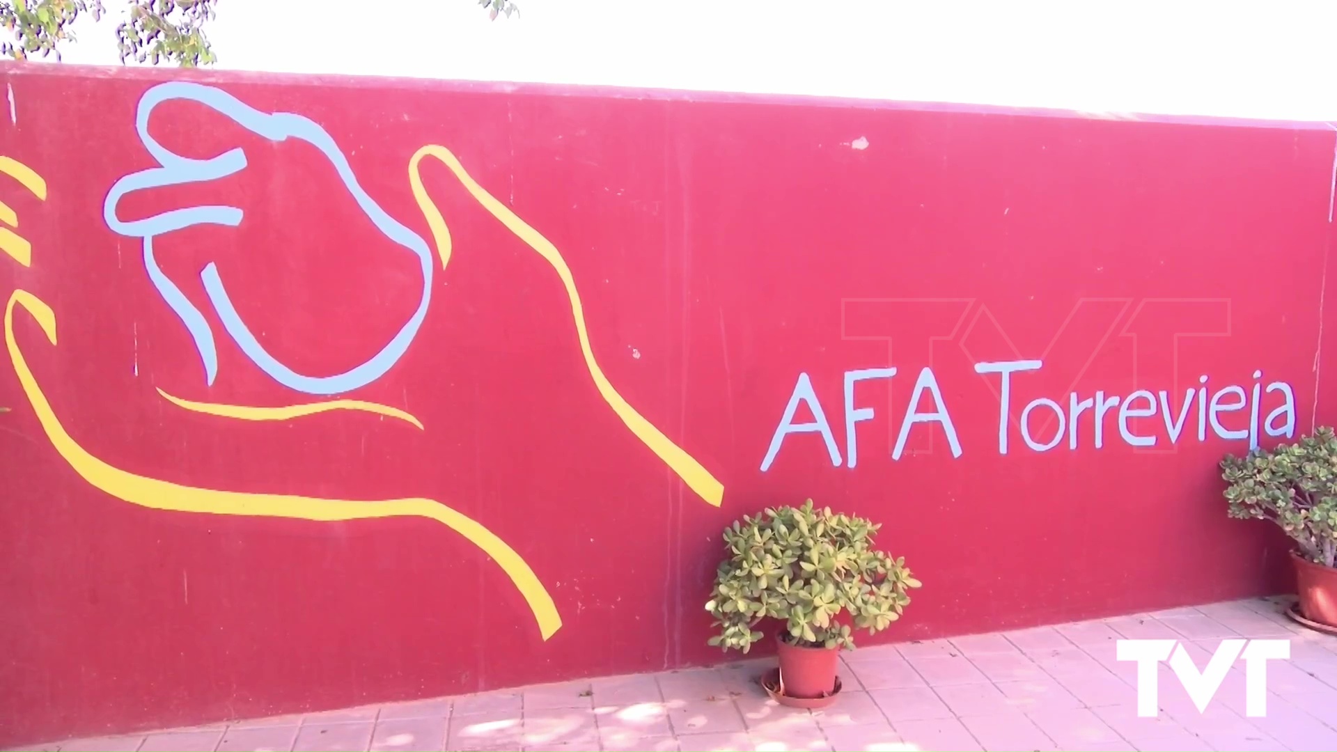 Imagen de AFA Torrevieja cumple 20 años
