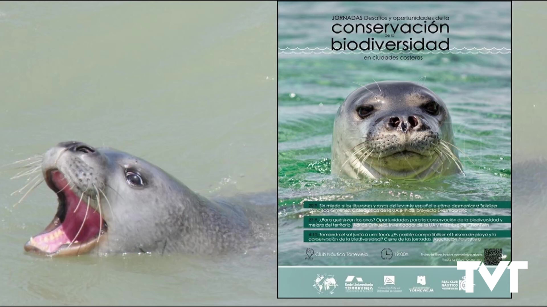 Imagen de Charlas divulgativas sobre la conservación de la biodiversidad en ciudades costeras 