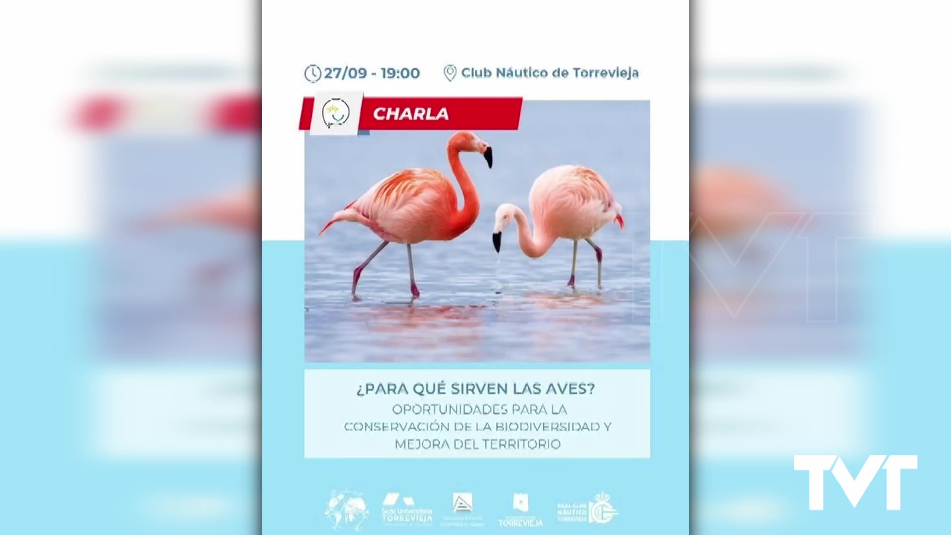Imagen de ¿Para qué sirven las aves? Descúbrelo en la charla que se presenta el 27 de septiembre en el RCNT