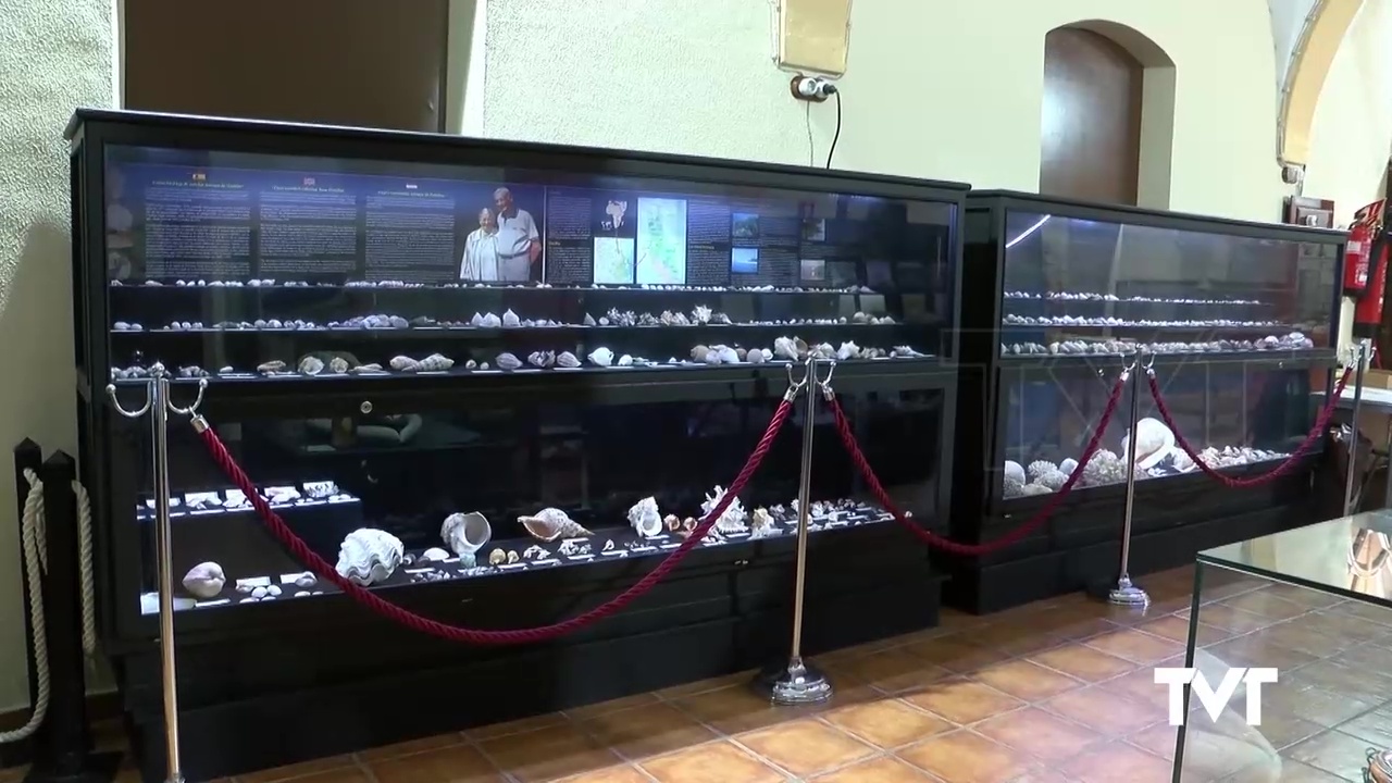 Imagen de El Museo de Historia Natural reabre durante dos meses en otoño con visitas guiadas gratuitas